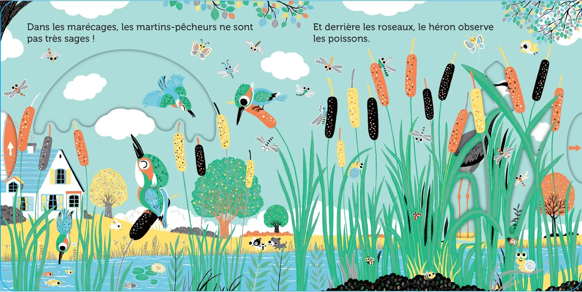 Promenade au bord de la rivière -  livre d'éveil animé, pour les bébés dès 6 mois - Livre d'éveil - 9782095013271 - page-interieure3