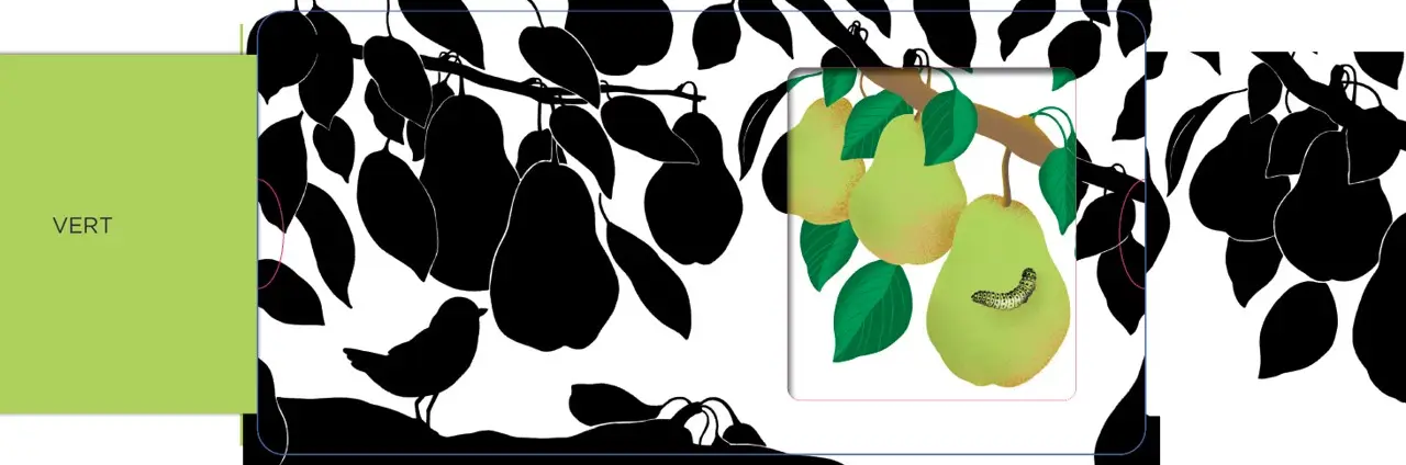 Les couleurs - Un livre en noir et blanc qui passe en couleurs grâce aux animations, pour les bébés des 6 mois. Les belles couleurs - Livre d'éveil - 9782095013844 - page-interieure3