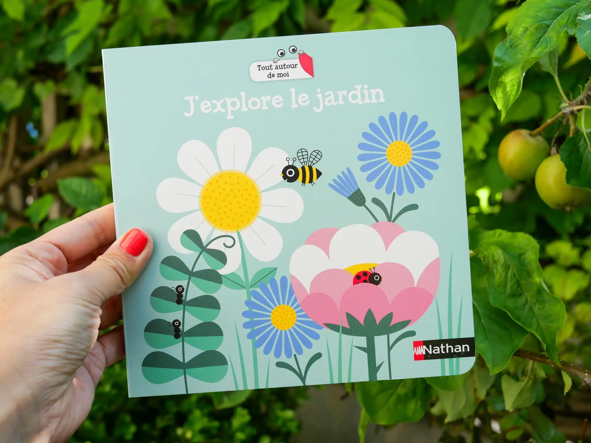 J'explore le jardin - Livre d'éveil à Flaps - Dès 18 mois - Livre d'éveil - 9782095016166 - page-intérieure3