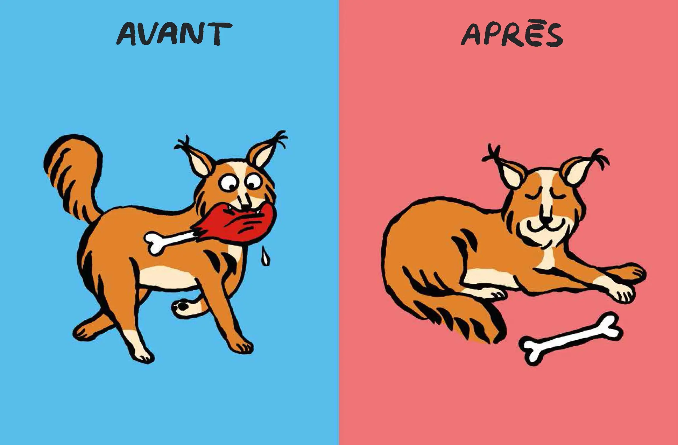 L'Imagichien - Un livre drôle et décalé, complément ouaf ! Dès 2 ans - Livre d'éveil - 9782095025472 - page-interieure3