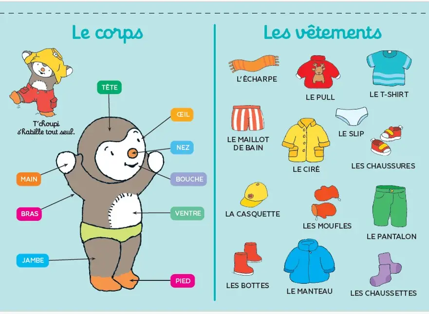 Mes posters T'choupi de la maternelle - 20 posters pour découvrir les premières notions de maternelle : l'alphabet, les couleurs, le saisons, le corps... - Livre - 9782095030018 - page-interieure3