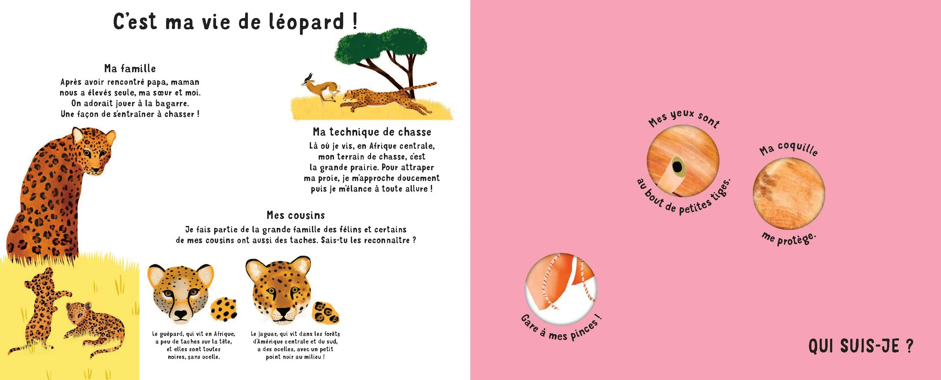 Qui suis-je ? -  Livre-jeu éducatif de 10 animaux à découvrir avec indices et découpages ludiques - dès 4 ans -  - 9782095030650 - page-interieure3