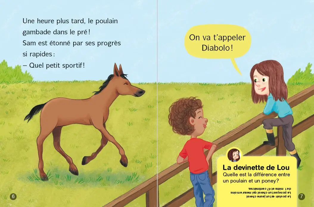 Les docs de Lou, tout sur les chevaux - Dès 6 ans - Roman - 9782095031114 - page-interieure3