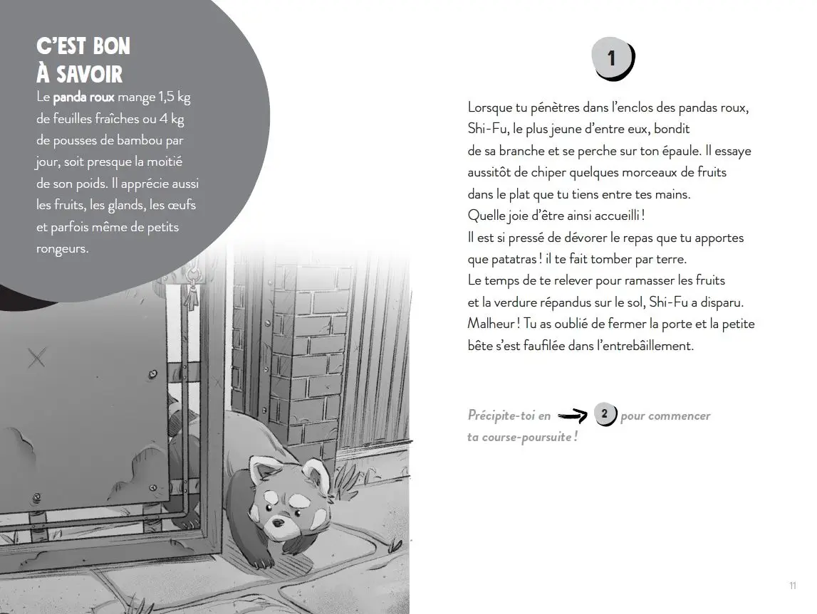 Tu es le héros - Dans la peau d'un soigneur - Un livre dont TU ES LE HÉROS ! - Livre immersif - À partir de 8 ans - Roman - 9782095033873 - page-interieure3