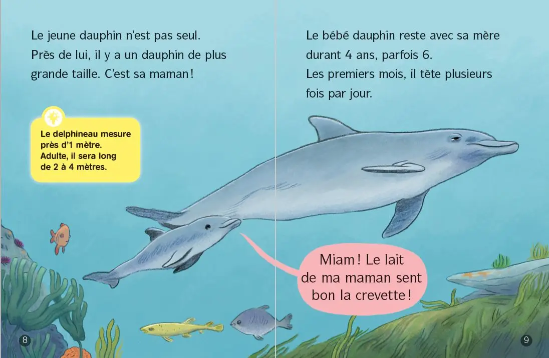 Les Docs de Lou - Tout sur les dauphins ! - Lune Bleue - Dès 6 ans - Roman - 9782095038106 - page-interieure3