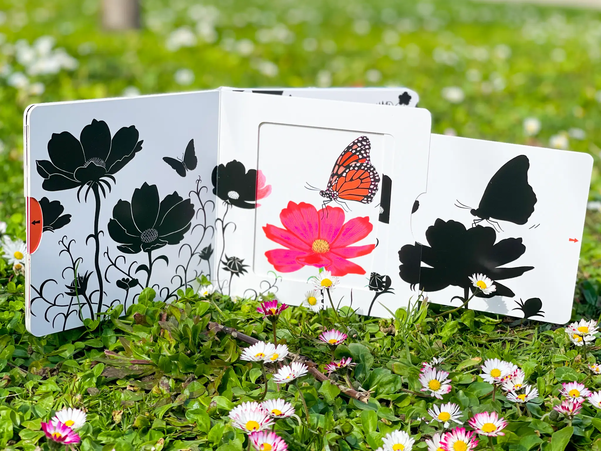 Dans le jardin - Un livre en noir et blanc qui passe en couleurs grâce aux animations, pour les bébés des 6 mois - Livre d'éveil - 9782092490518 - page-intérieure4