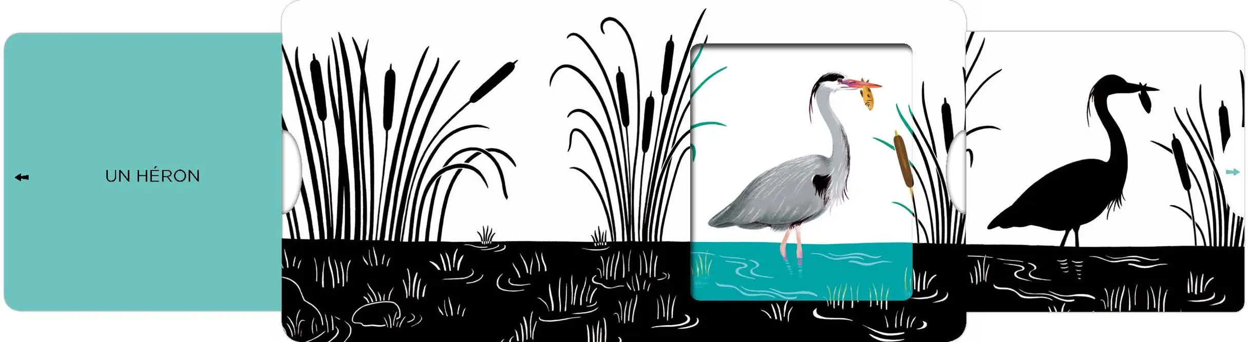 Au bord de la rivière - Un livre en noir et blanc qui passe en couleurs grâce aux animations, pour les bébés des 6 mois - Livre d'éveil - 9782092491874 - page intérieure4