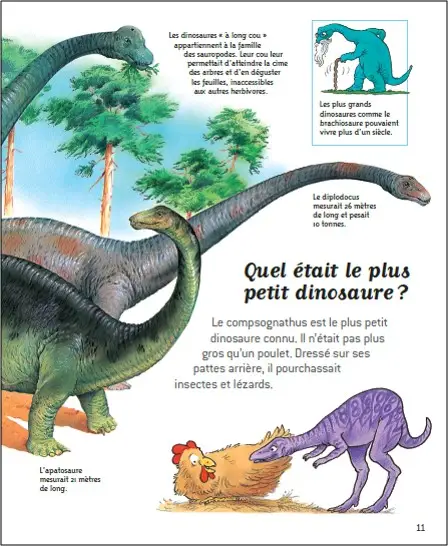 Au temps des dinosaures - Questions/Réponses - doc dès 7 ans - Livre documentaire - 9782092492840 - page intérieure4