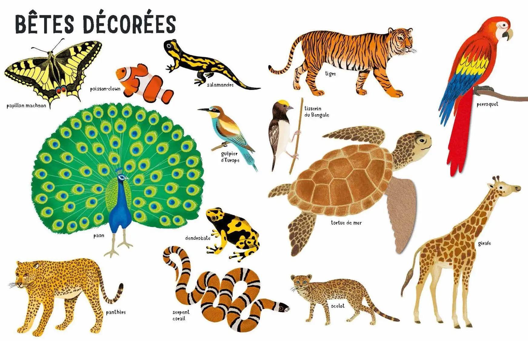 Belles bêtes - un bestiaire extraordinaire avec de grands flaps en feutrine - Dès 6 mois - Livre d'éveil - 9782092495087 - page-interieure4