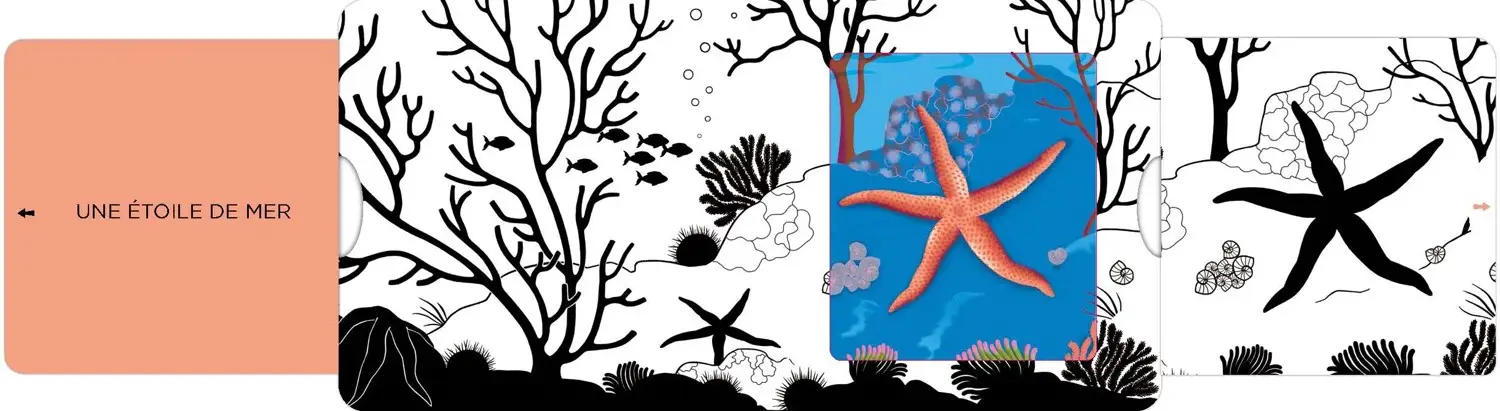 La mer - Un livre en noir et blanc qui passe en couleurs grâce aux animations, pour les bébés des 6 mois - Livre d'éveil - 9782092495131 - page-interieure4