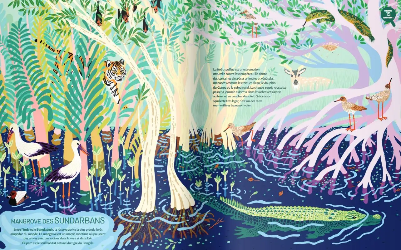 Jungles et réserves naturelles du monde - Un magnifique livre pour partir en voyage dans les jungles du monde et découvrir des animaux sauvages - jeu cherche et trouve - Grand format - Dès 5 ans - Livre documentaire - 9782092585696 - page intérieure4