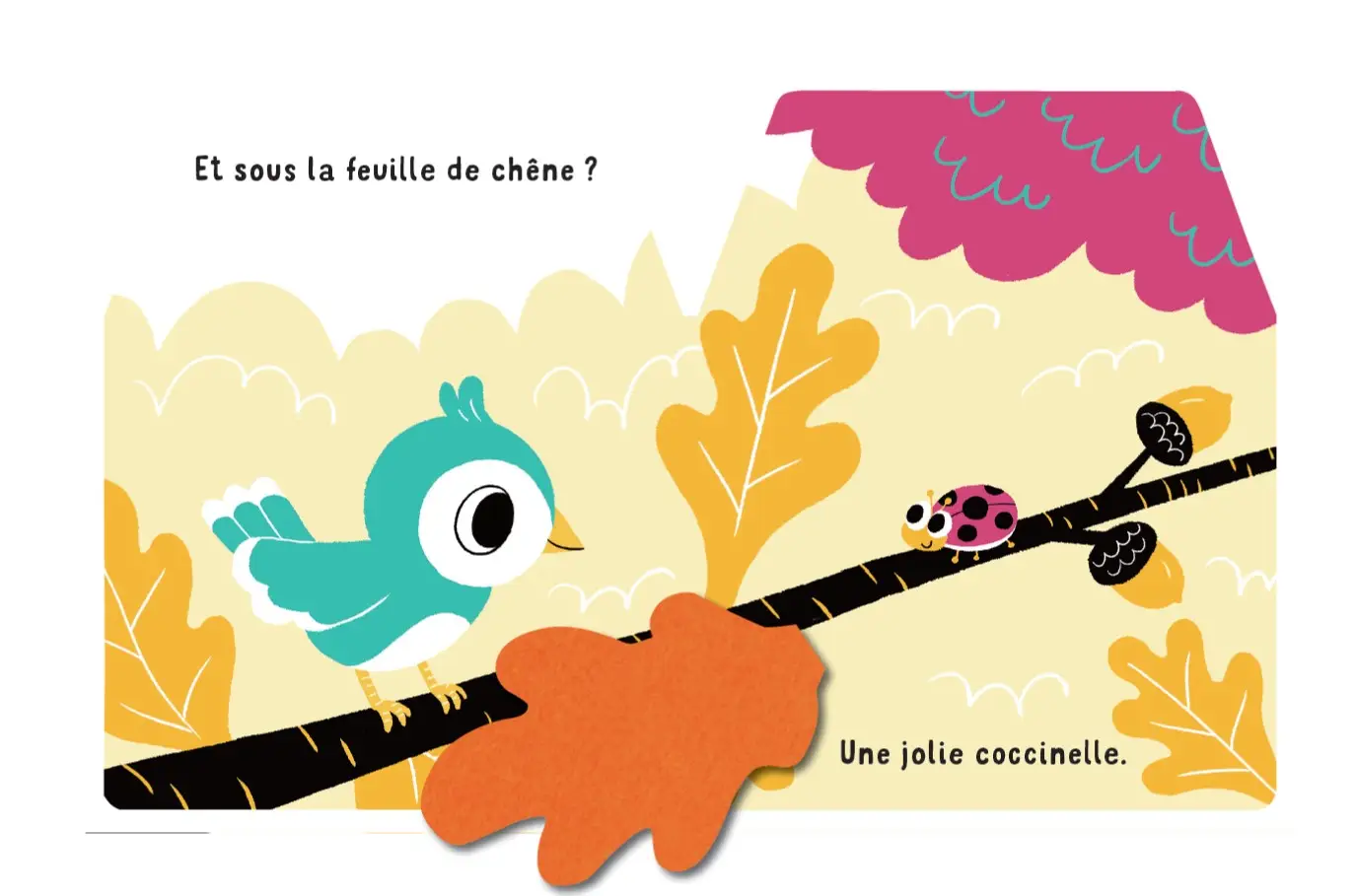 Cache-cache petit oiseau - Livre matière - éveil -  Dès 6 mois - Livre d'éveil - 9782092592113 - page intérieure4