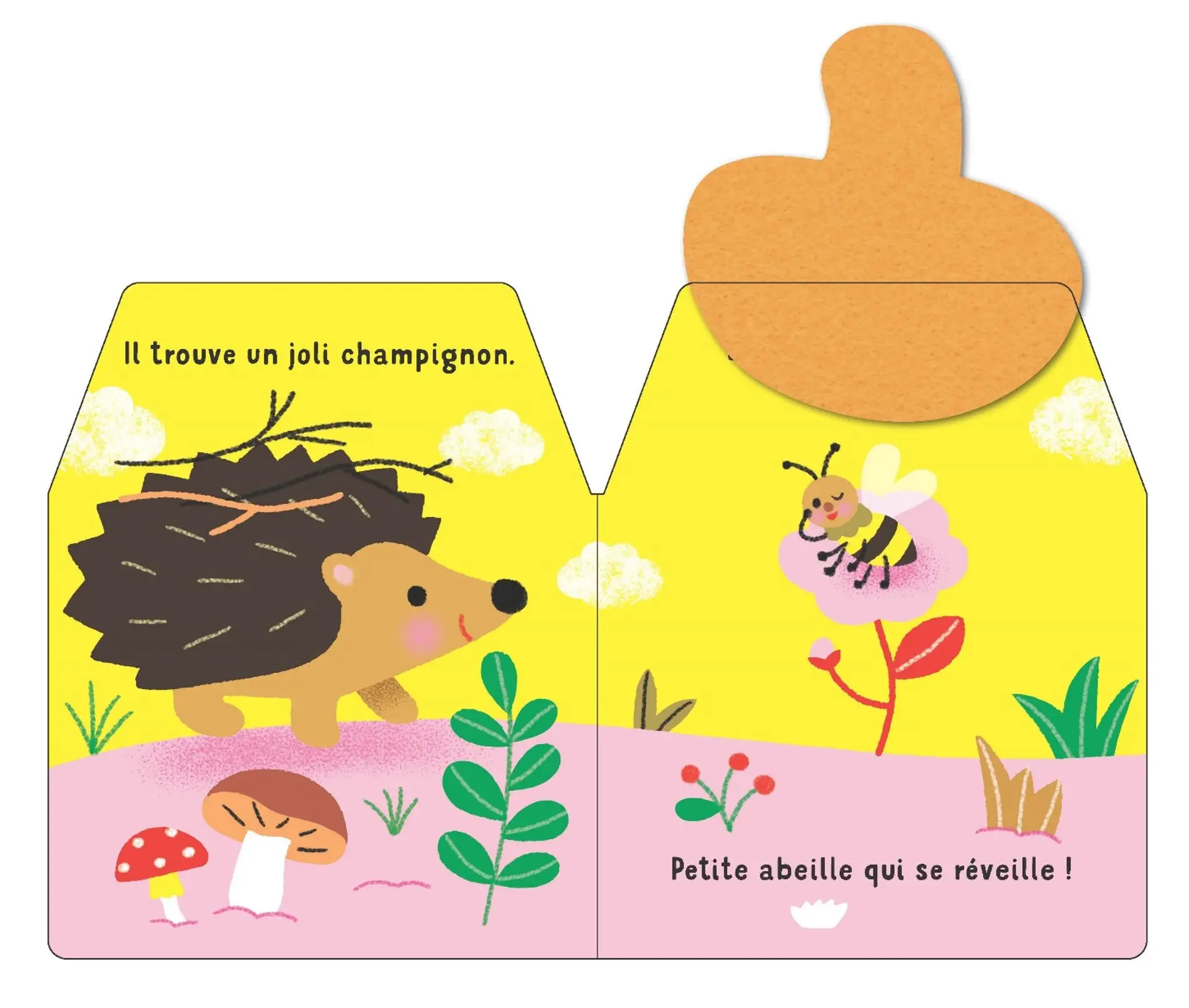 Cache-cache petit hérisson - Livre matière - éveil -  Dès 6 mois - Livre d'éveil - 9782092596579 - page-interieure4
