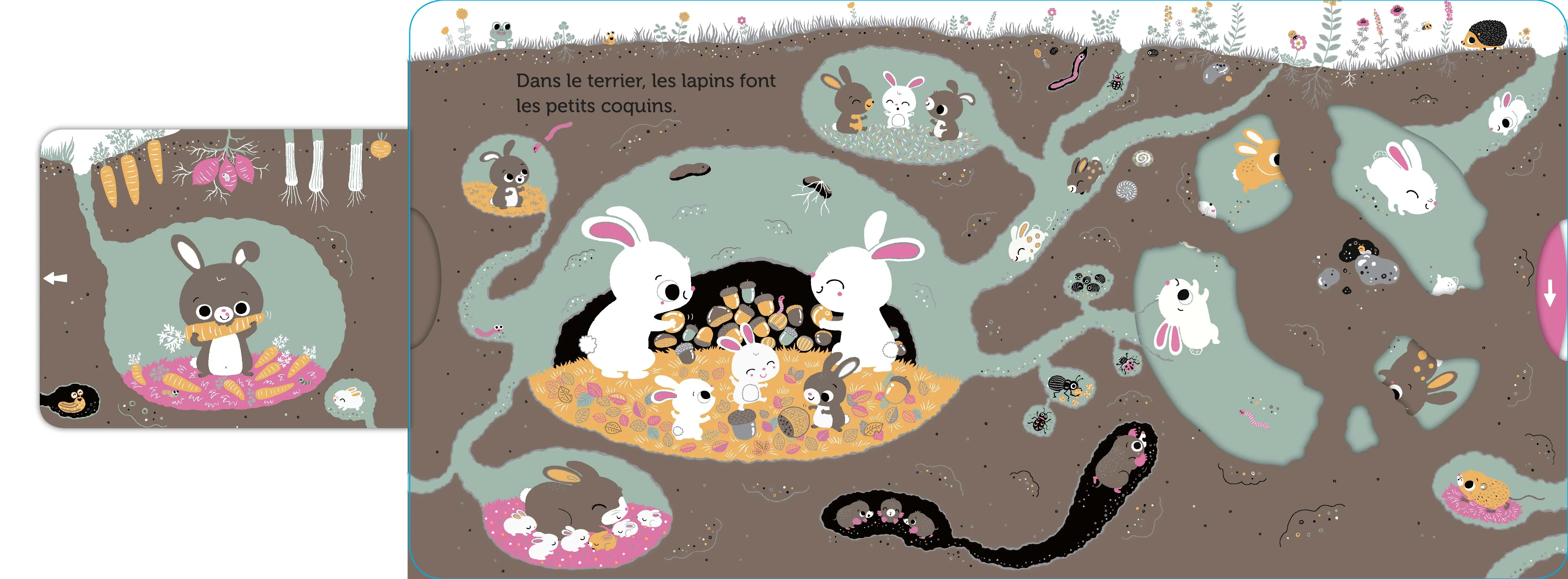 Promenade sous la terre - livre d'éveil animé, pour les bébés dès 6 mois - Livre d'éveil - 9782092596586 - page-interieure4