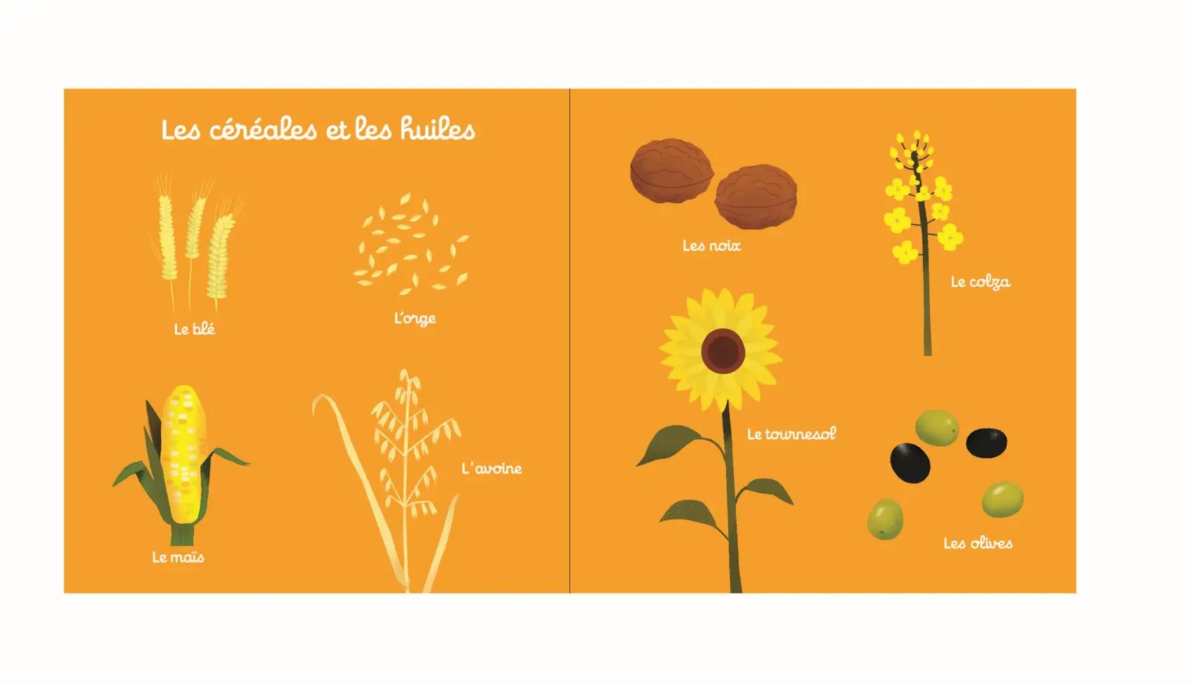 100 mots de la ferme - mon gros imagier - dès 10 mois - Livre d'éveil - 9782092791554 - page-interieure4