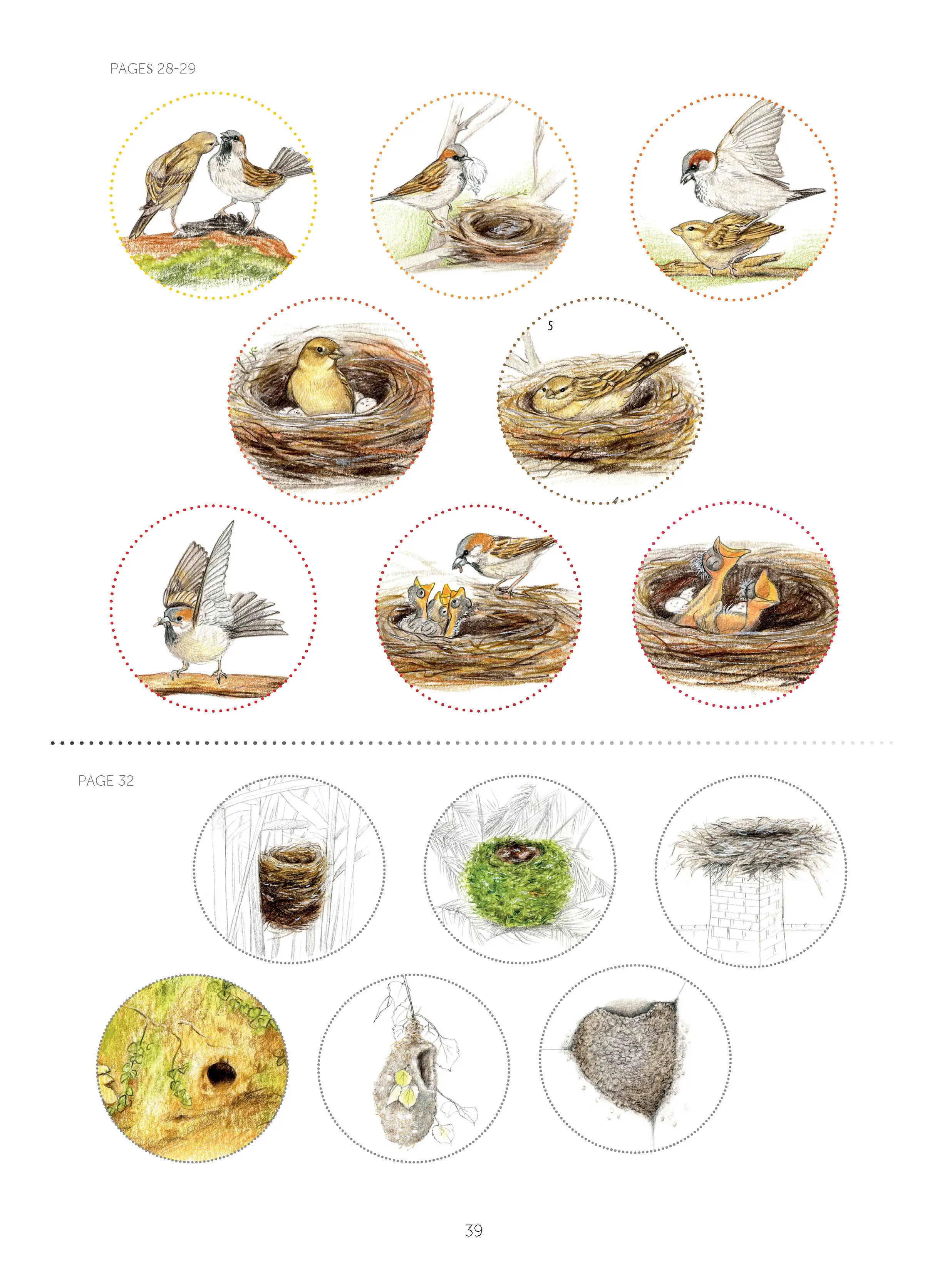 Les bords de mer - mon cahier d'observation et d'activités - 4/7 ans - Cahier d'activités - 9782095000929 - page-interieure4