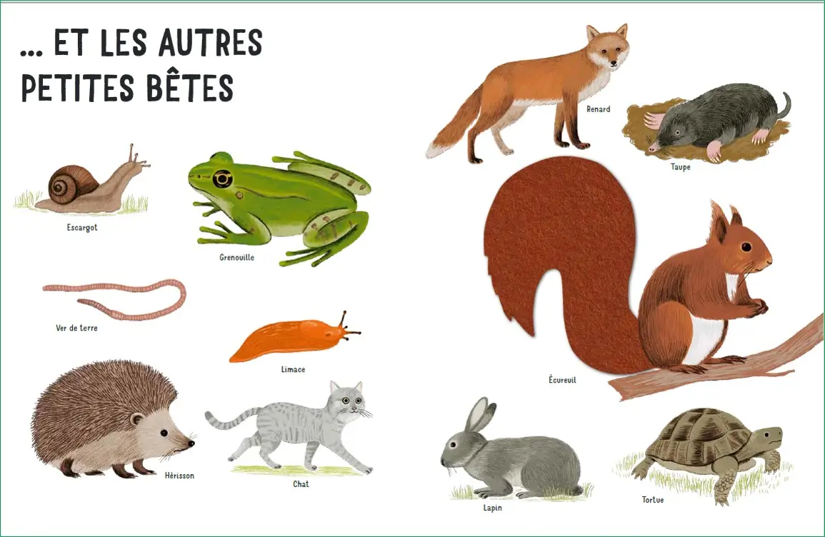 Dans mon jardin - Une promenade au jardin avec de grands flaps en feutrine - Dès 6 mois - Livre d'éveil - 9782095012922 - page-interieure4