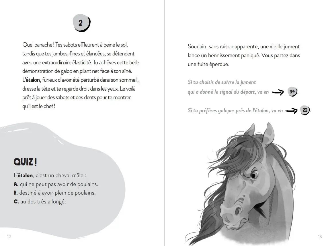 Tu es le héros - Dans la peau d'un mustang - Un livre dont TU ES LE HÉROS ! - Livre immersif - À partir de 8 ans - Roman - 9782095033859 - page-interieure4