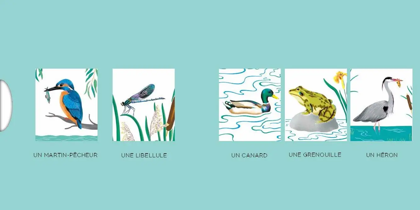 Au bord de la rivière - Un livre en noir et blanc qui passe en couleurs grâce aux animations, pour les bébés des 6 mois - Livre d'éveil - 9782092491874 - page intérieure5