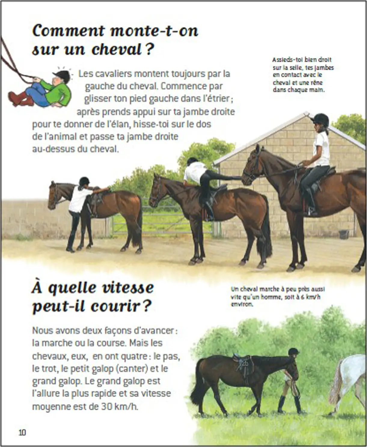 Passion chevaux - Questions/Réponses - doc dès 7 ans - Livre documentaire - 9782092492819 - page intérieure5