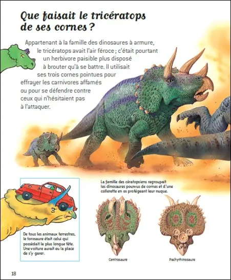 Au temps des dinosaures - Questions/Réponses - doc dès 7 ans - Livre documentaire - 9782092492840 - page intérieure5