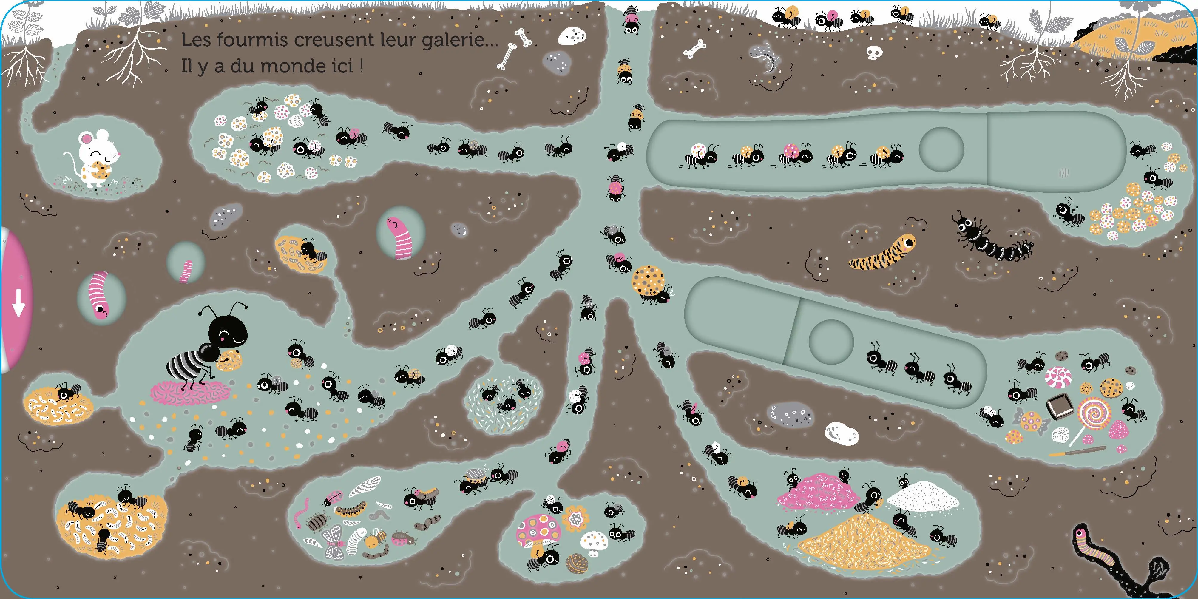 Promenade sous la terre - livre d'éveil animé, pour les bébés dès 6 mois - Livre d'éveil - 9782092596586 - page-interieure5