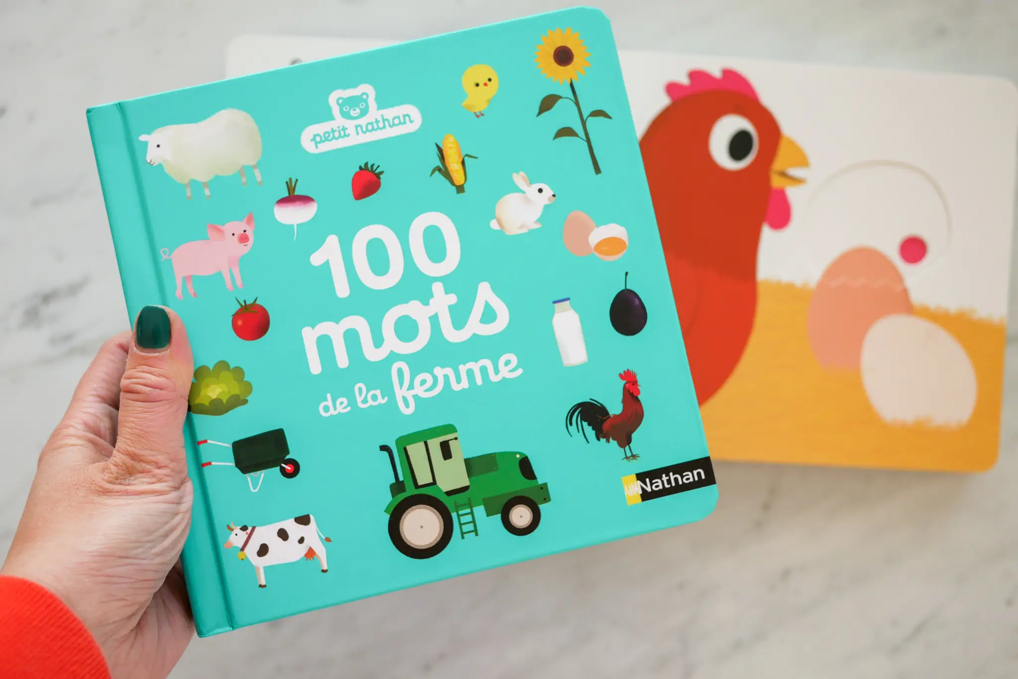 100 mots de la ferme - mon gros imagier - dès 10 mois - Livre d'éveil - 9782092791554 - page-intérieure5