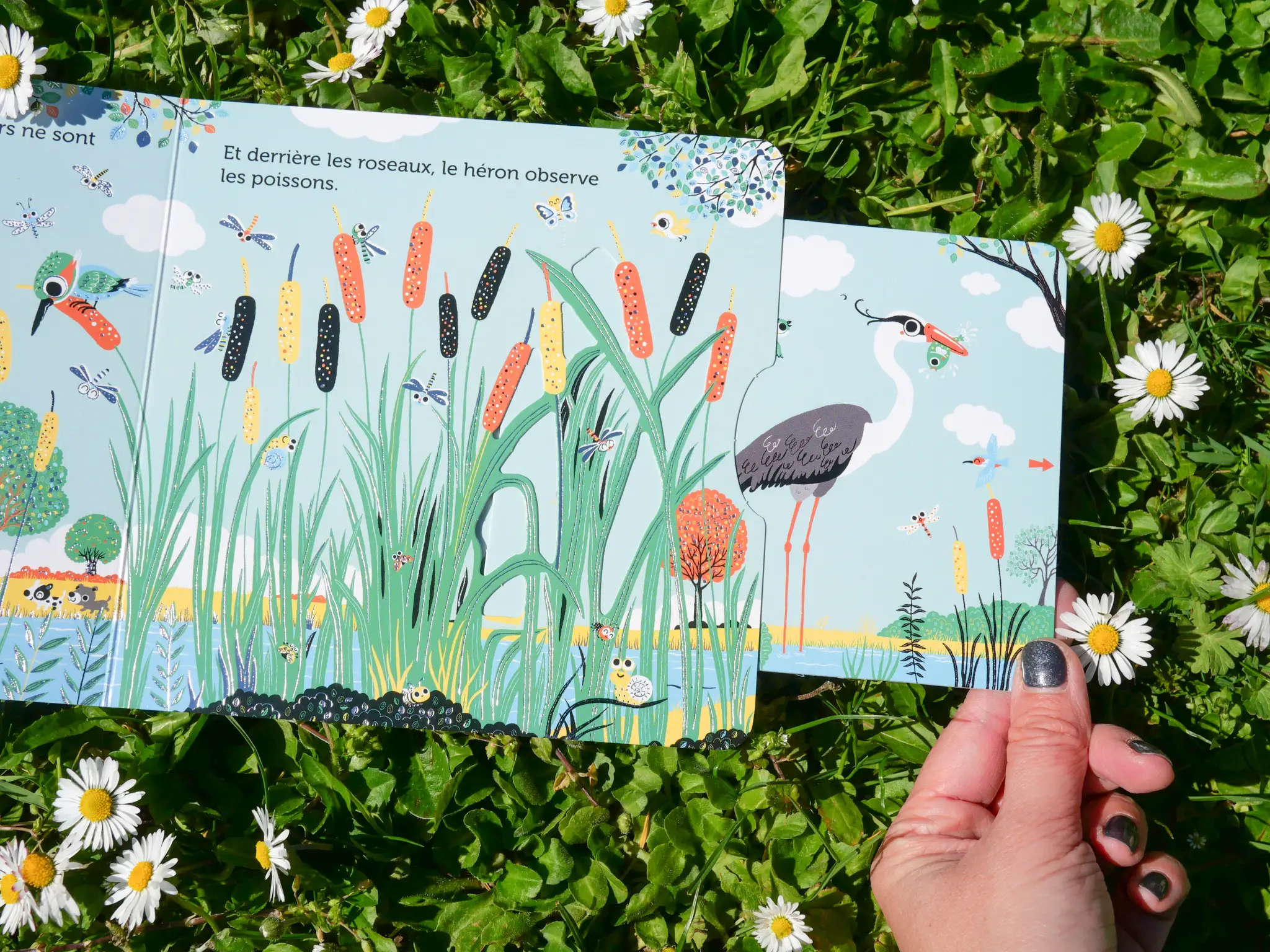 Promenade au bord de la rivière -  livre d'éveil animé, pour les bébés dès 6 mois - Livre d'éveil - 9782095013271 - page-intérieure5
