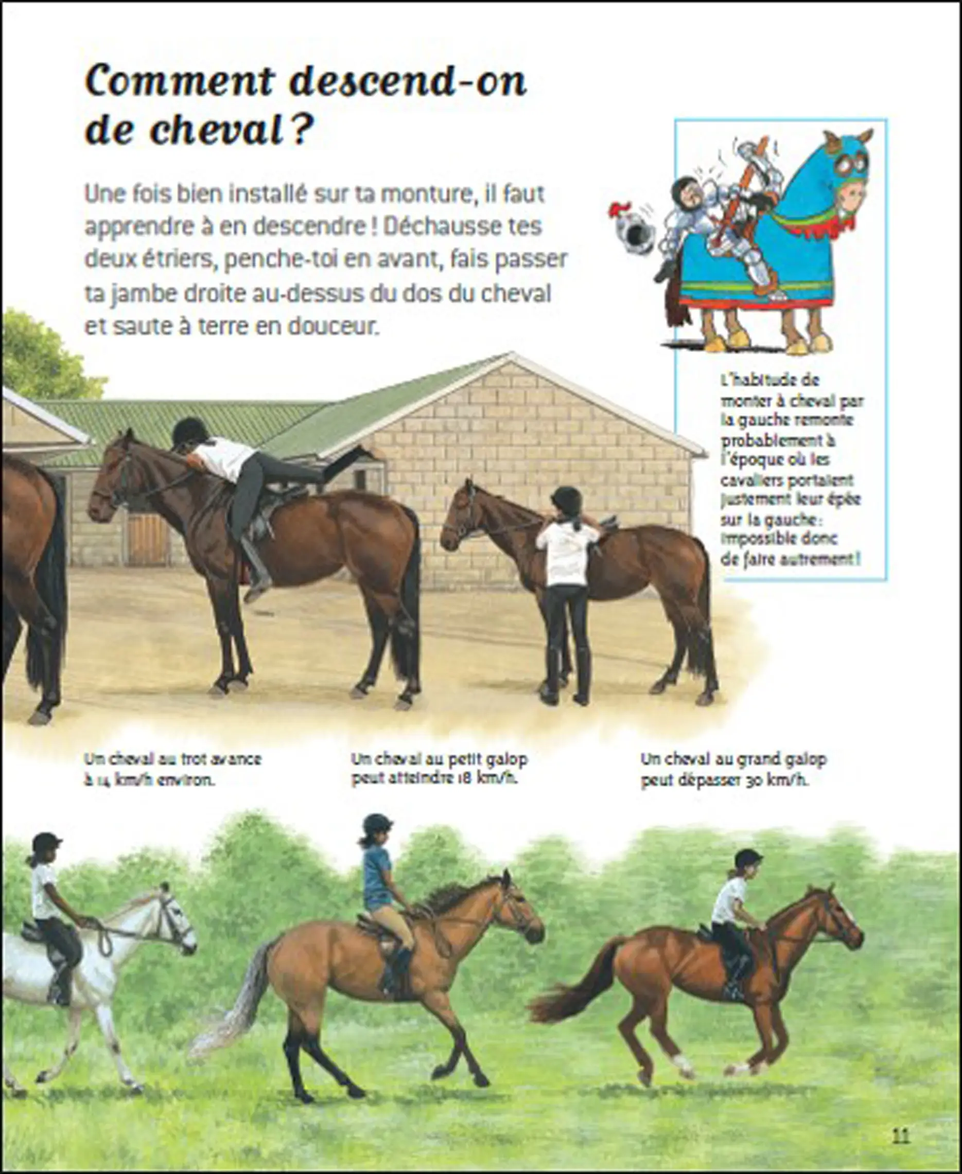 Passion chevaux - Questions/Réponses - doc dès 7 ans - Livre documentaire - 9782092492819 - page intérieure6