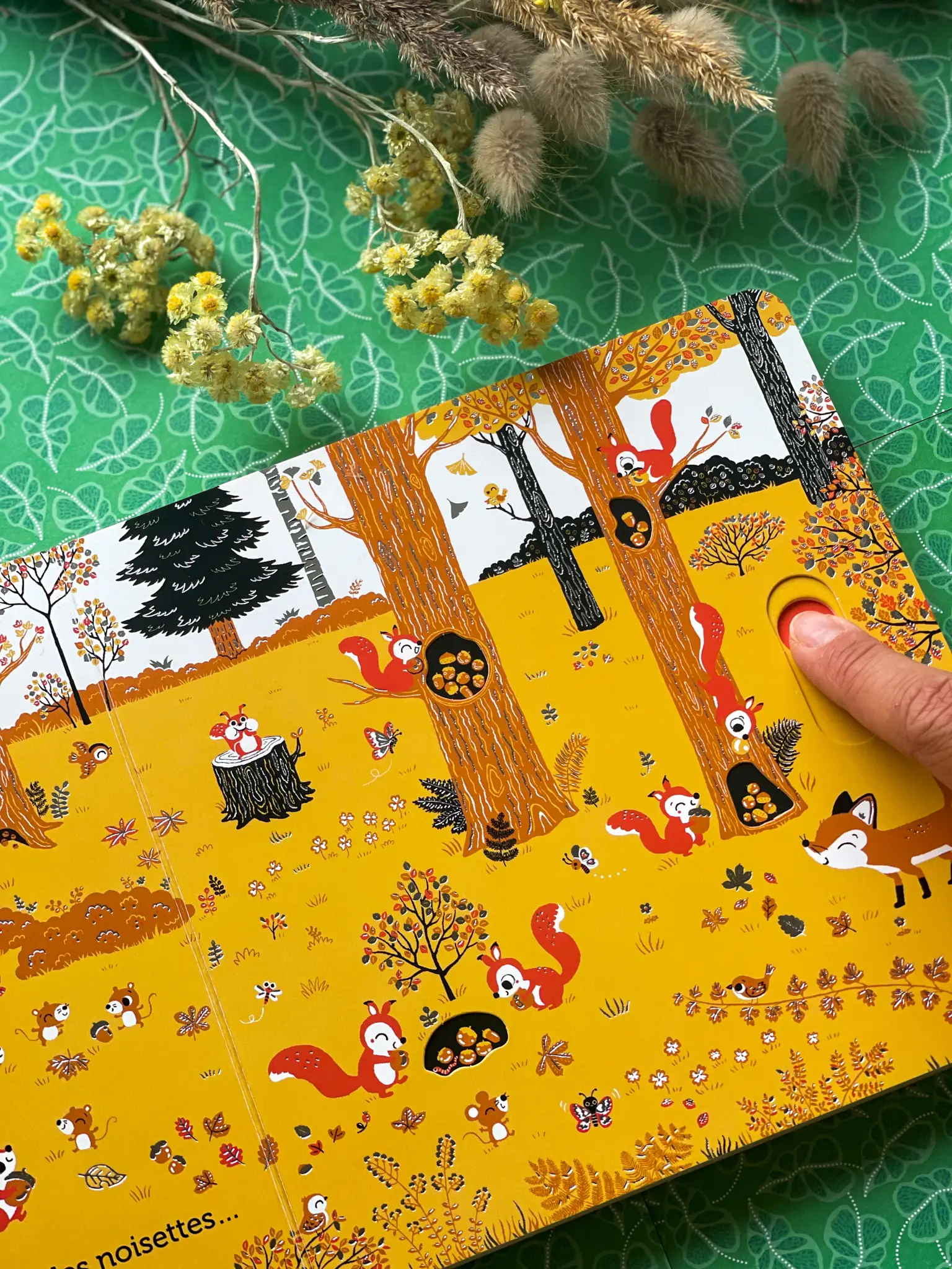 Promenade dans les bois -  livre d'éveil animé, pour les bébés dès 6 mois - Livre d'éveil - 9782092492864 - page-intérieure6