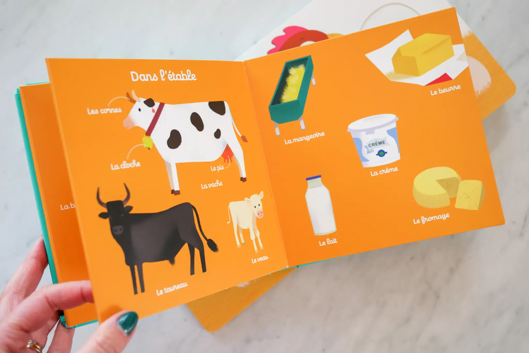 100 mots de la ferme - mon gros imagier - dès 10 mois - Livre d'éveil - 9782092791554 - page-intérieure6