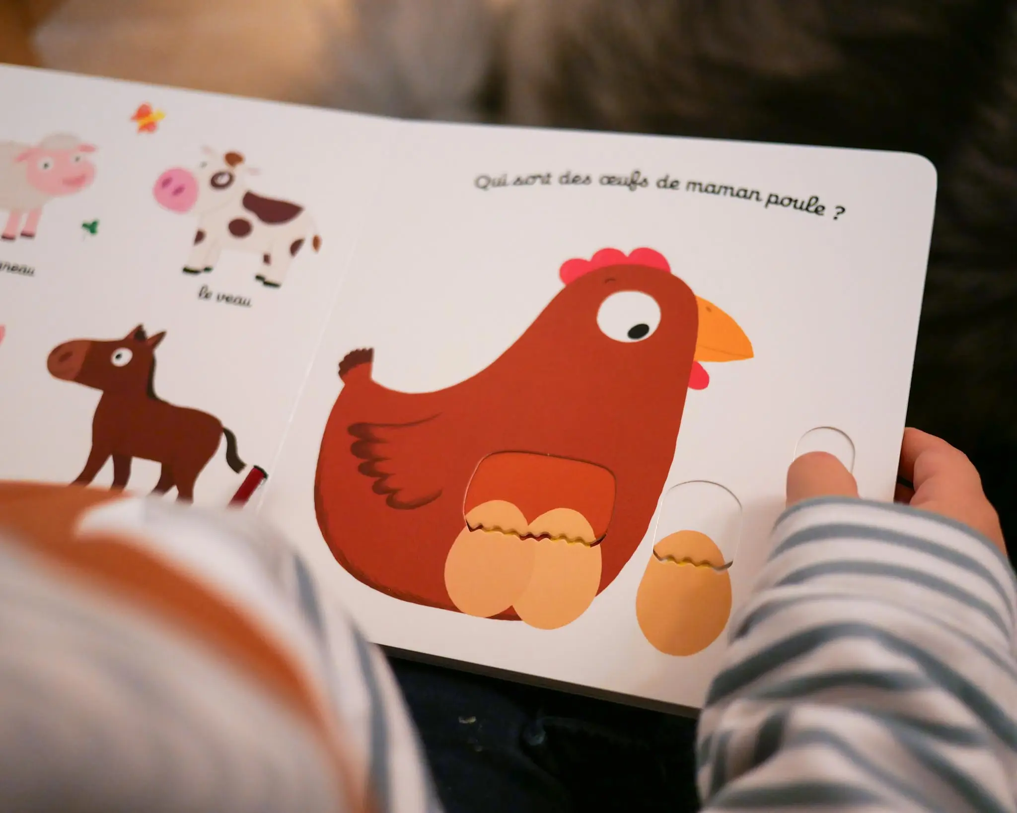 Mon imagier animé Kididoc - la ferme - nouvelle édition - Une histoire parfaite à découvrir à Pâques - Dès 1 an - Livre documentaire - 9782095024123 - page-intérieure6