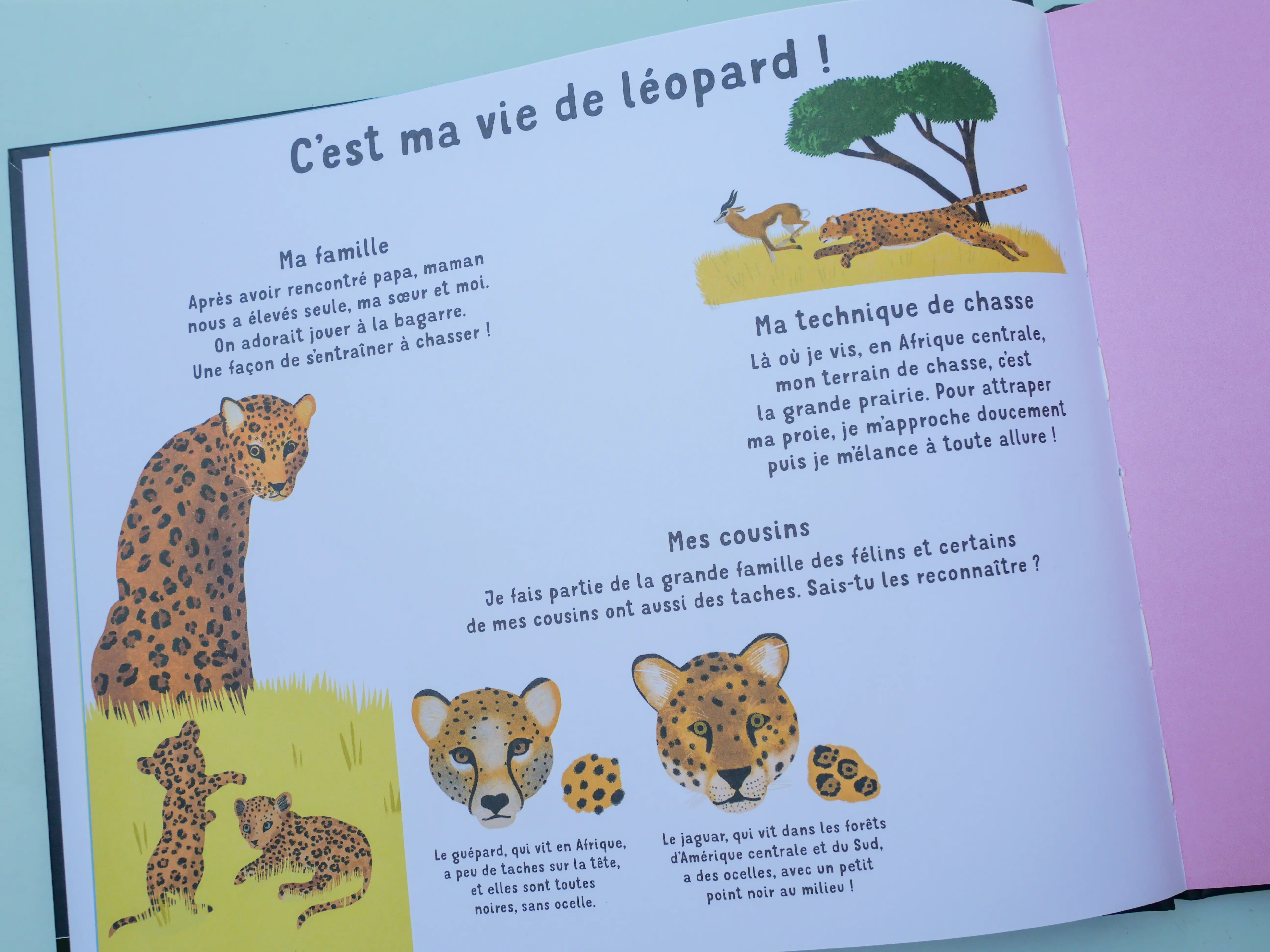 Qui suis-je ? -  Livre-jeu éducatif de 10 animaux à découvrir avec indices et découpages ludiques - dès 4 ans -  - 9782095030650 - page-intérieure6