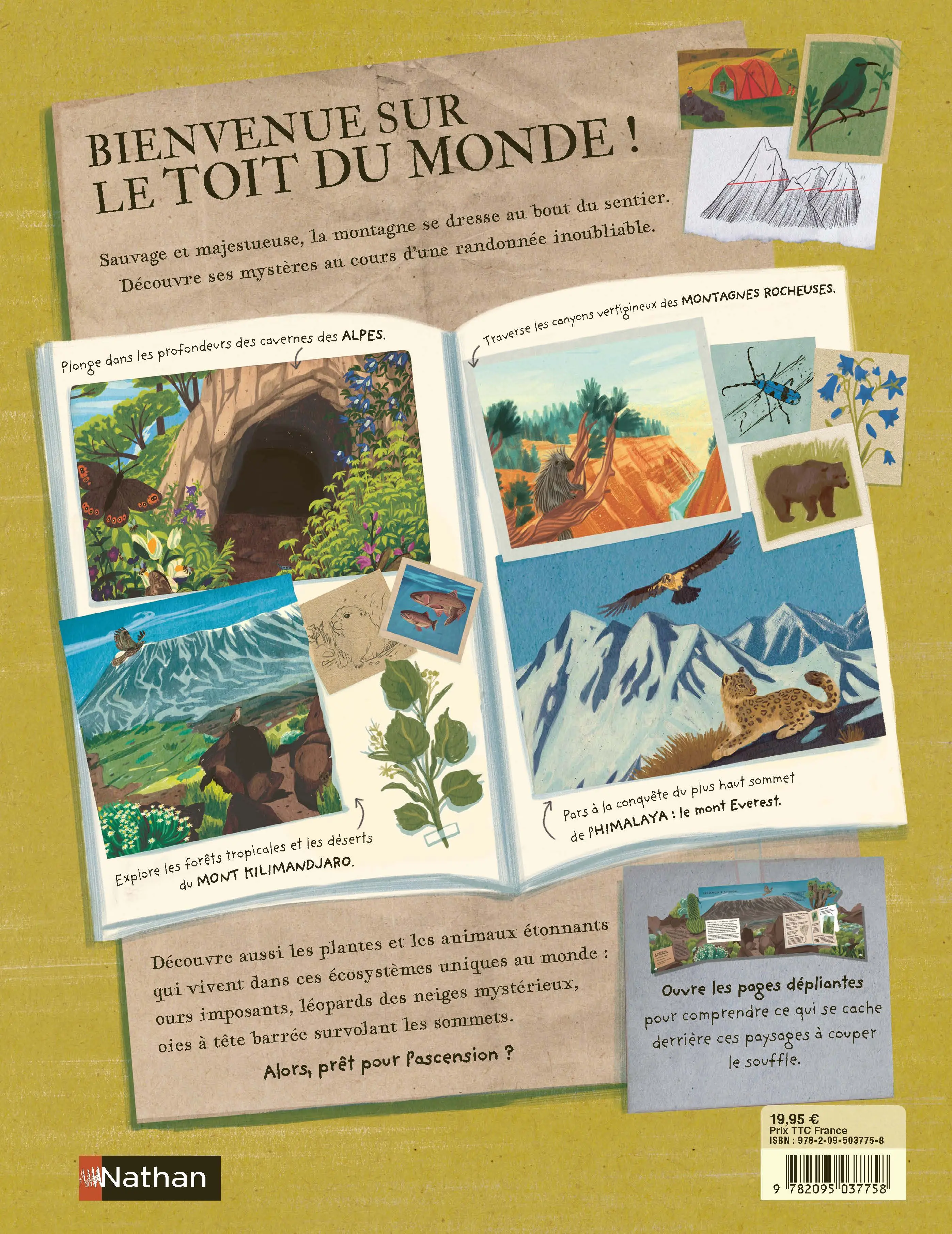Il y a une montagne dans ce livre - un magnifique album avec des pages panoramiques à explorer à partir de 7 ans - Livre documentaire - 9782095037758 - page-interieurePLAT4