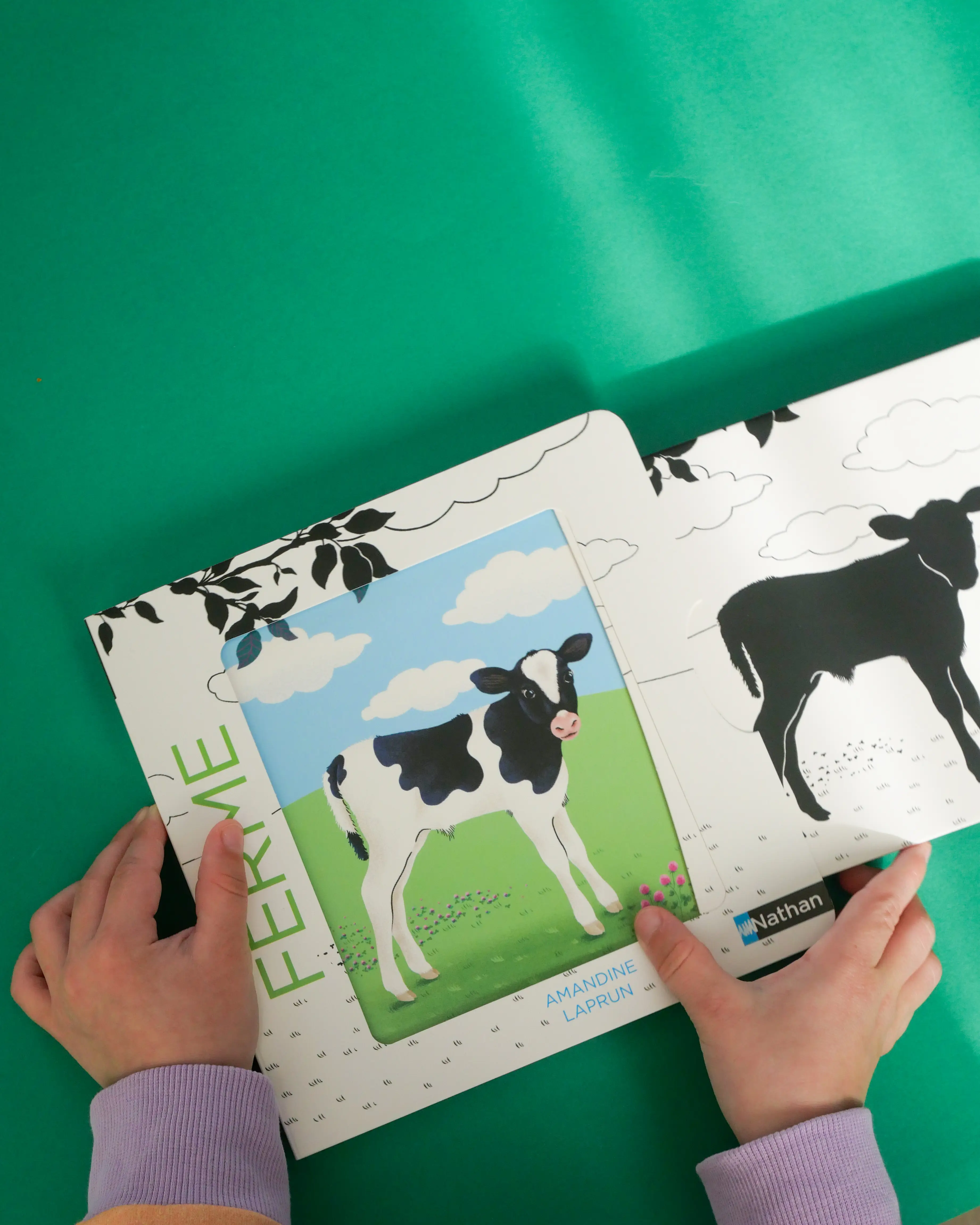 Les belles couleurs - La ferme - un imagier original et interactif à découvrir dès 6 mois - Livre d'éveil - 9782095042899 - Pages intérieures 00