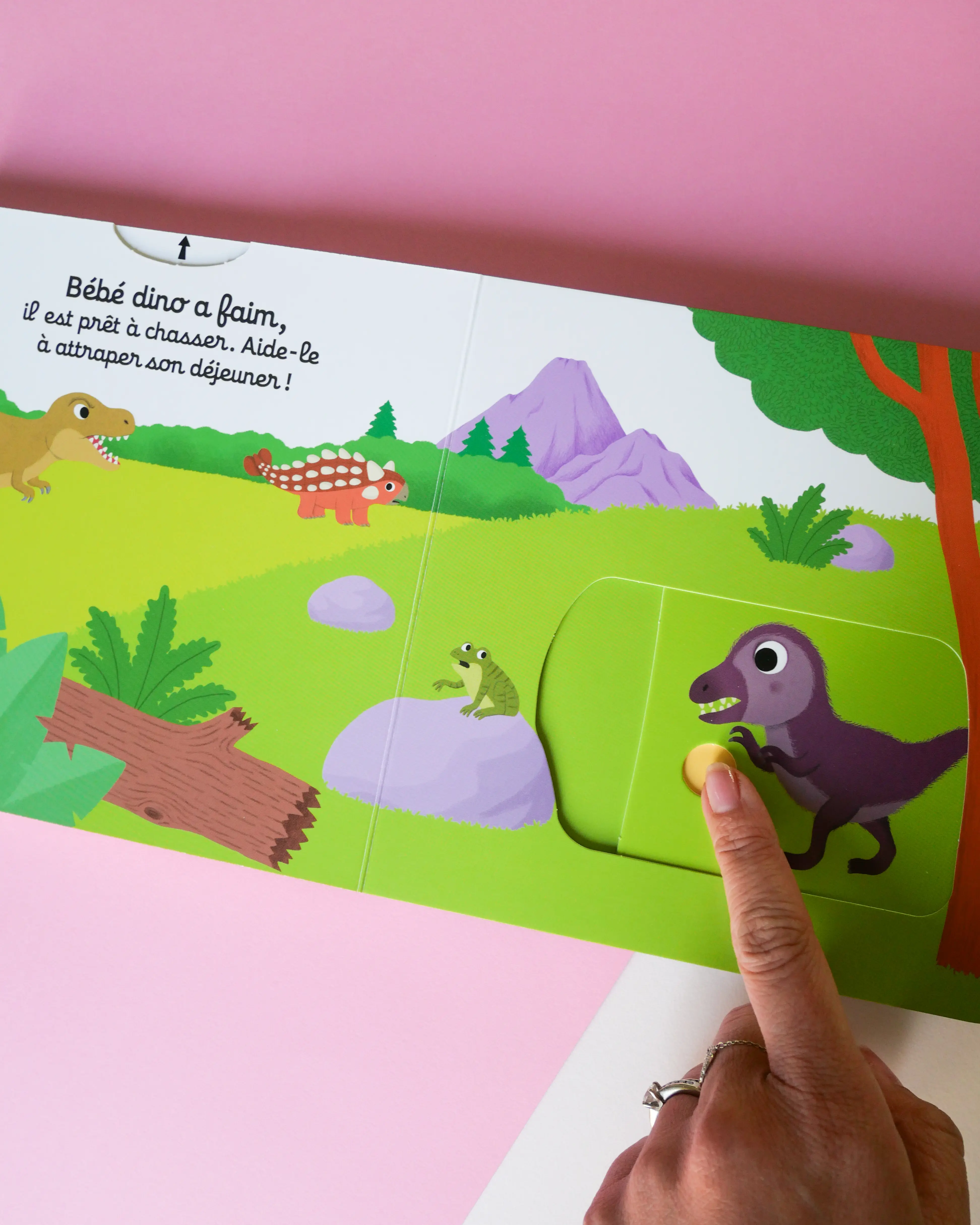 Tu es fort petit dinosaure ! - Découvre la vie de bébé dino avec des animations solides - dès 1 an - Livre documentaire - 9782095045524 - Pages intérieures 00