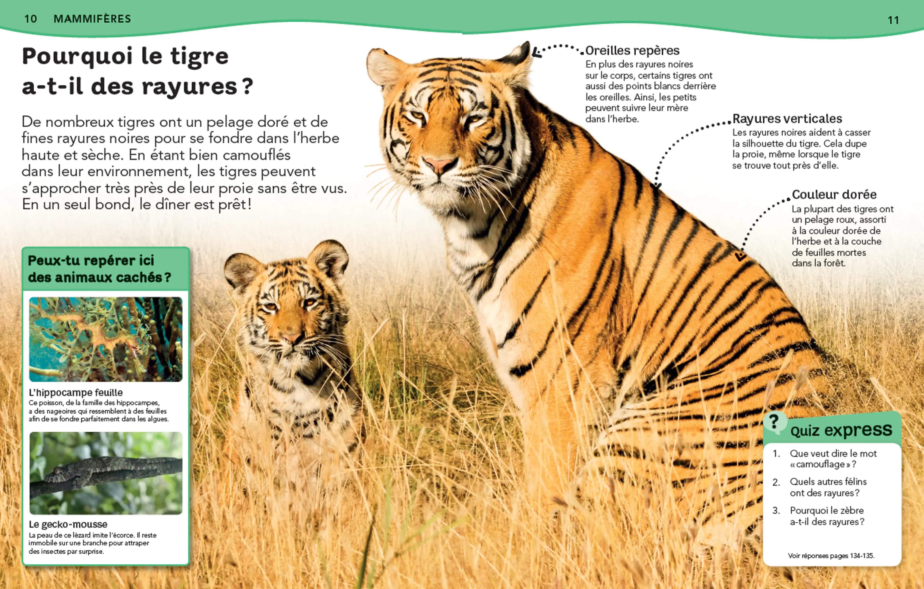 L'Encyclopédie des animaux - Questions/Réponses - Livre documentaire pour enfants dès 7 ans - Livre documentaire - 9782092566701 - Pages intérieures 01