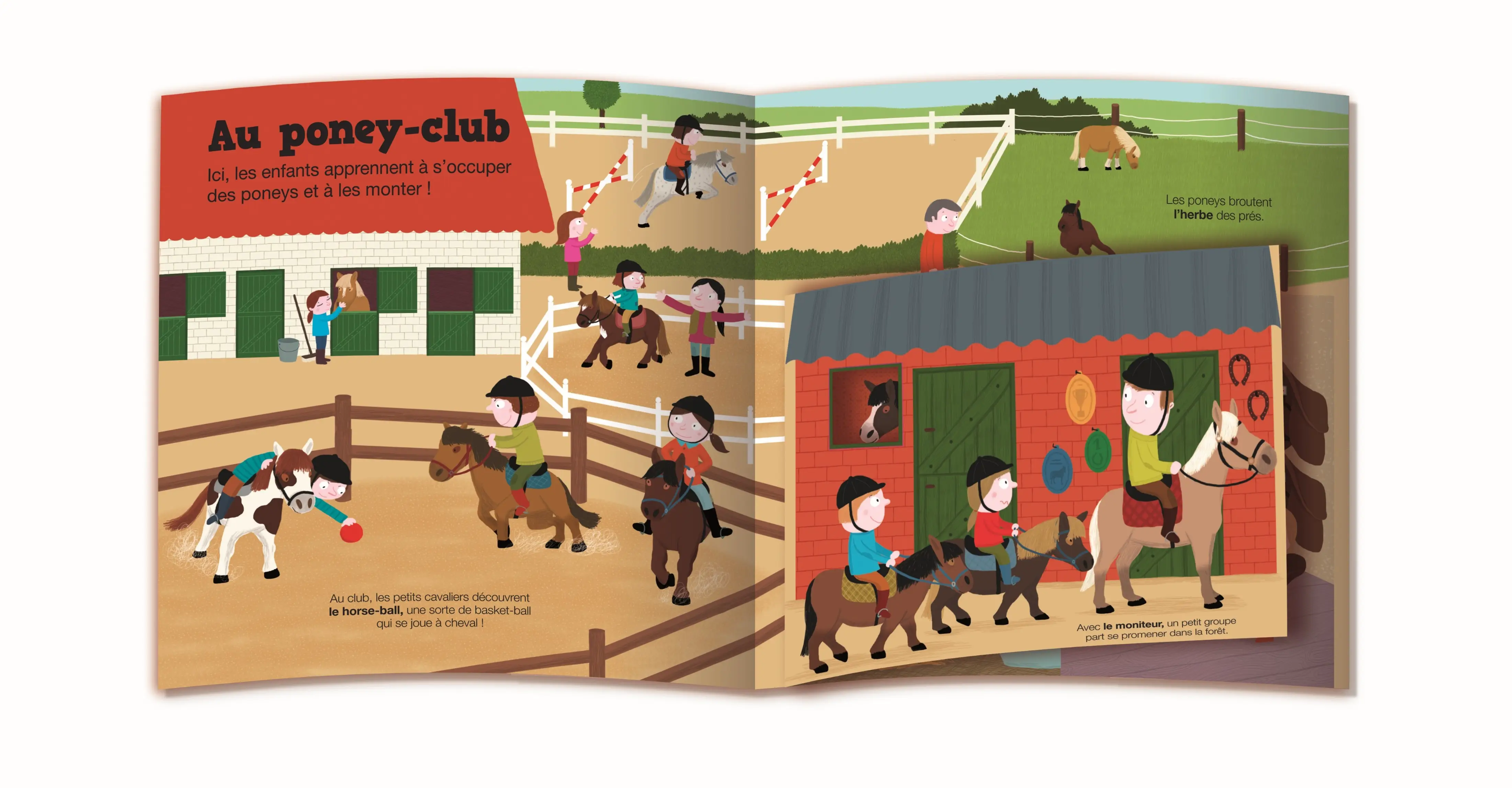 Kididoc : Chevaux et poneys -  Livre documentaire animé - Dès 5 ans - Livre documentaire - 9782095042295 - Pages intérieures 01