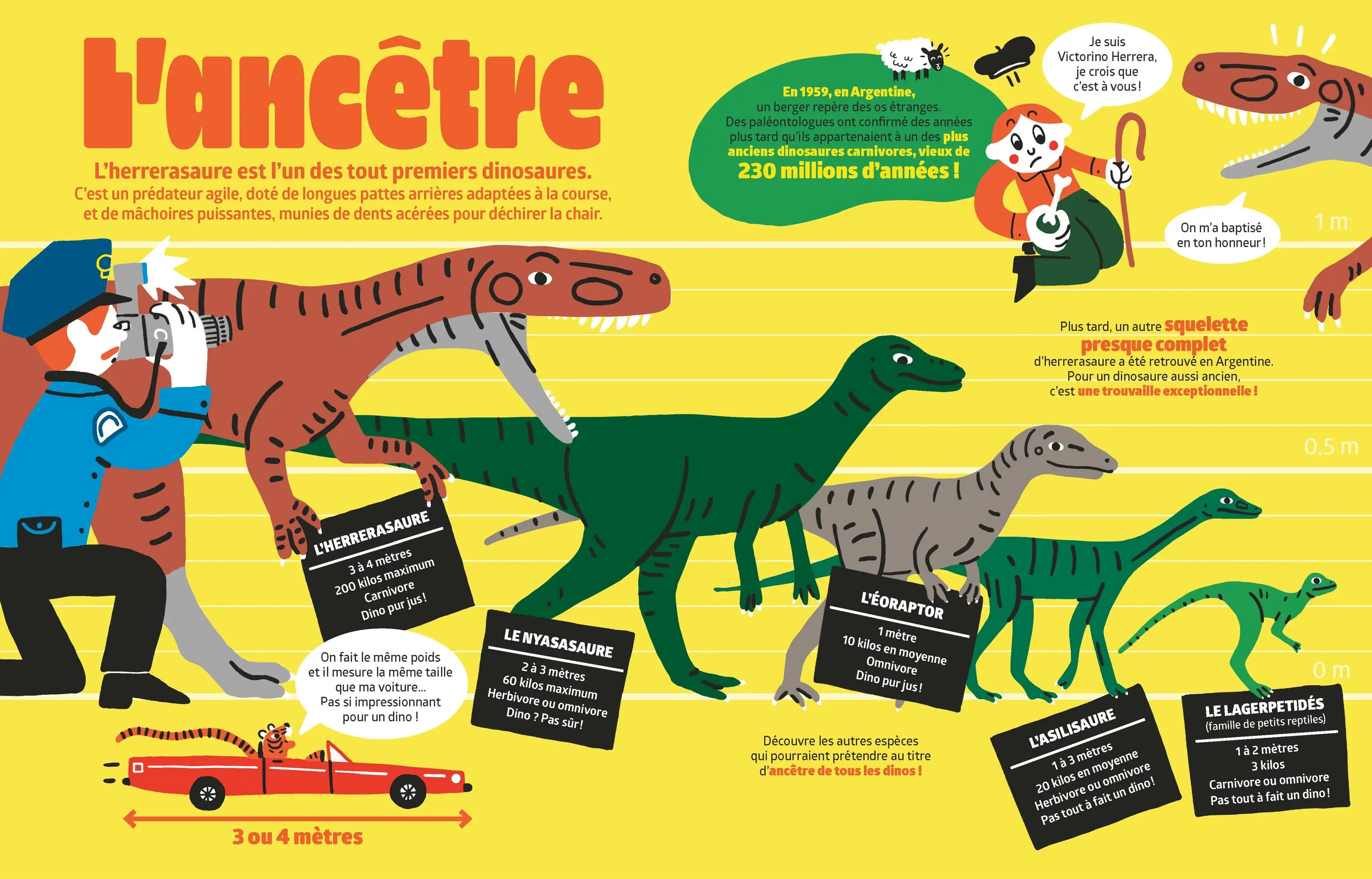 Les dinosaures - Tout ce que tu ne sais pas encore sur les dinosaures ! - BOOST - dès 7 ans - Livre documentaire - 9782095046576 - Pages intérieures 01