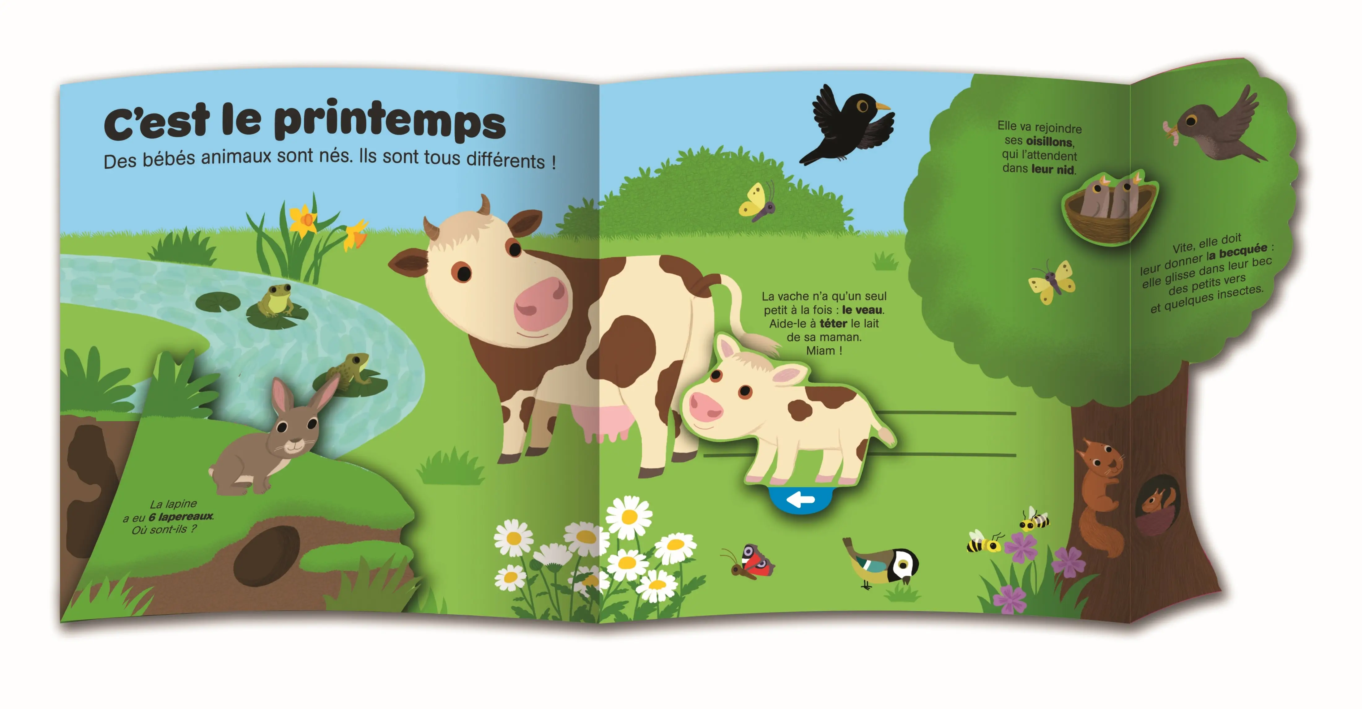 Kididoc - les bébés animaux - Livre documentaire animé - Dès 3 ans - Livre documentaire - 9782095051464 - Pages intérieures 01