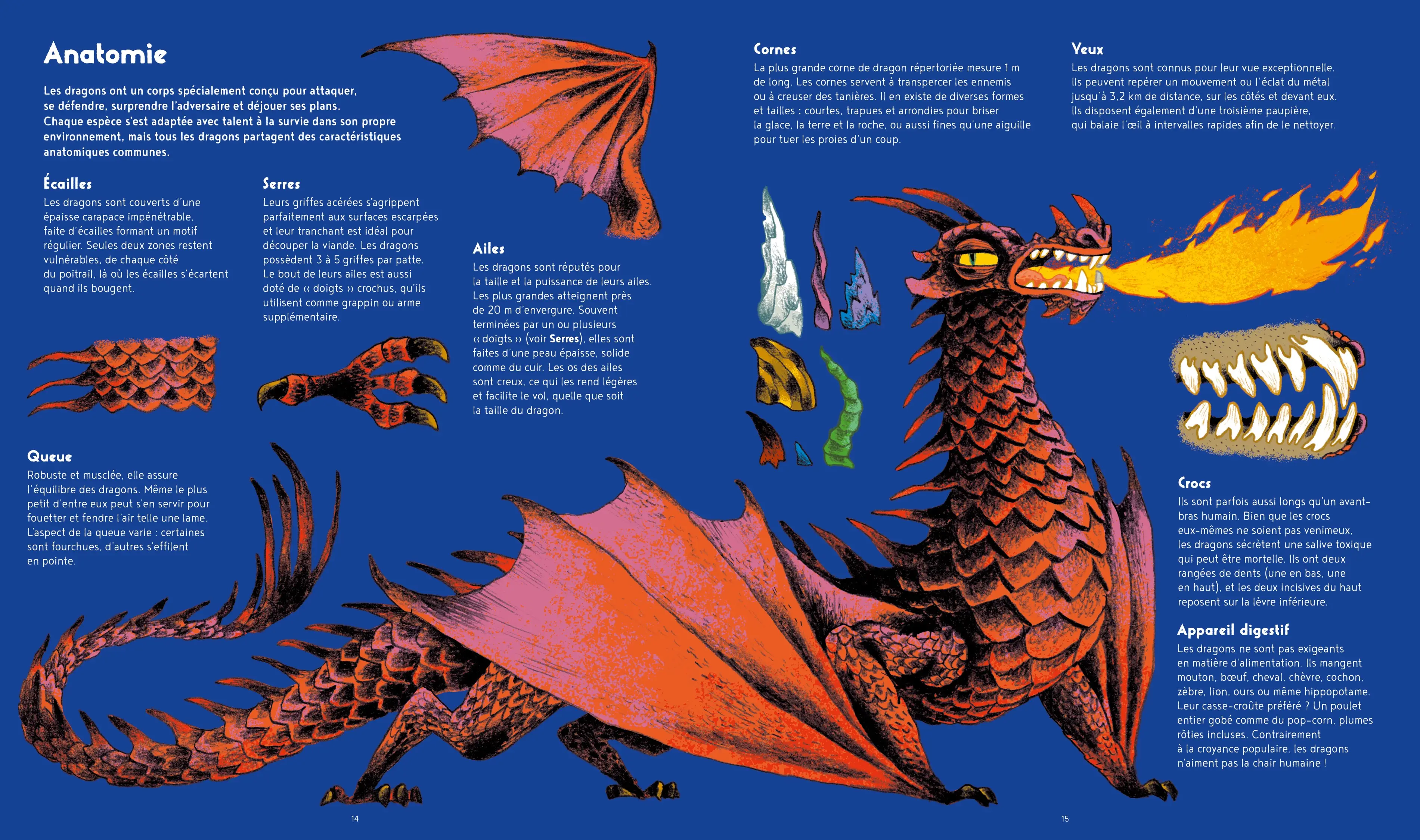La vie secrète des dragons - Guide complet des espèces de dragons - Pour les passionnés de créatures fantastiques dès 7 ans - Livre documentaire - 9782095053222 - Pages intérieures 01