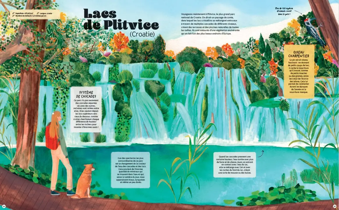 Parcs Naturels du Monde - Guide des Plus Beaux Sanctuaires de la Nature dès 7 ans - Livre documentaire - 9782095041328 - Pages intérieures 02