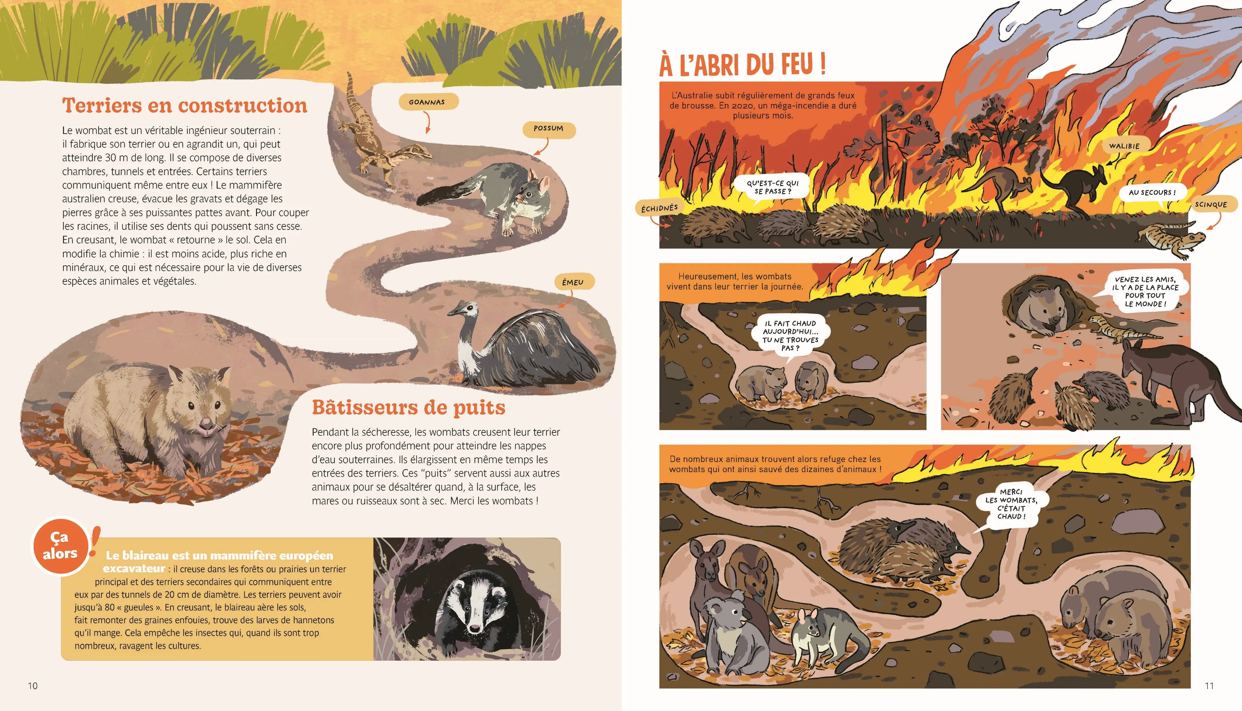 Nos héros les animaux - documentaire et découverte de la nature dès 7 ans - Livre documentaire - 9782095043025 - Pages intérieures 02