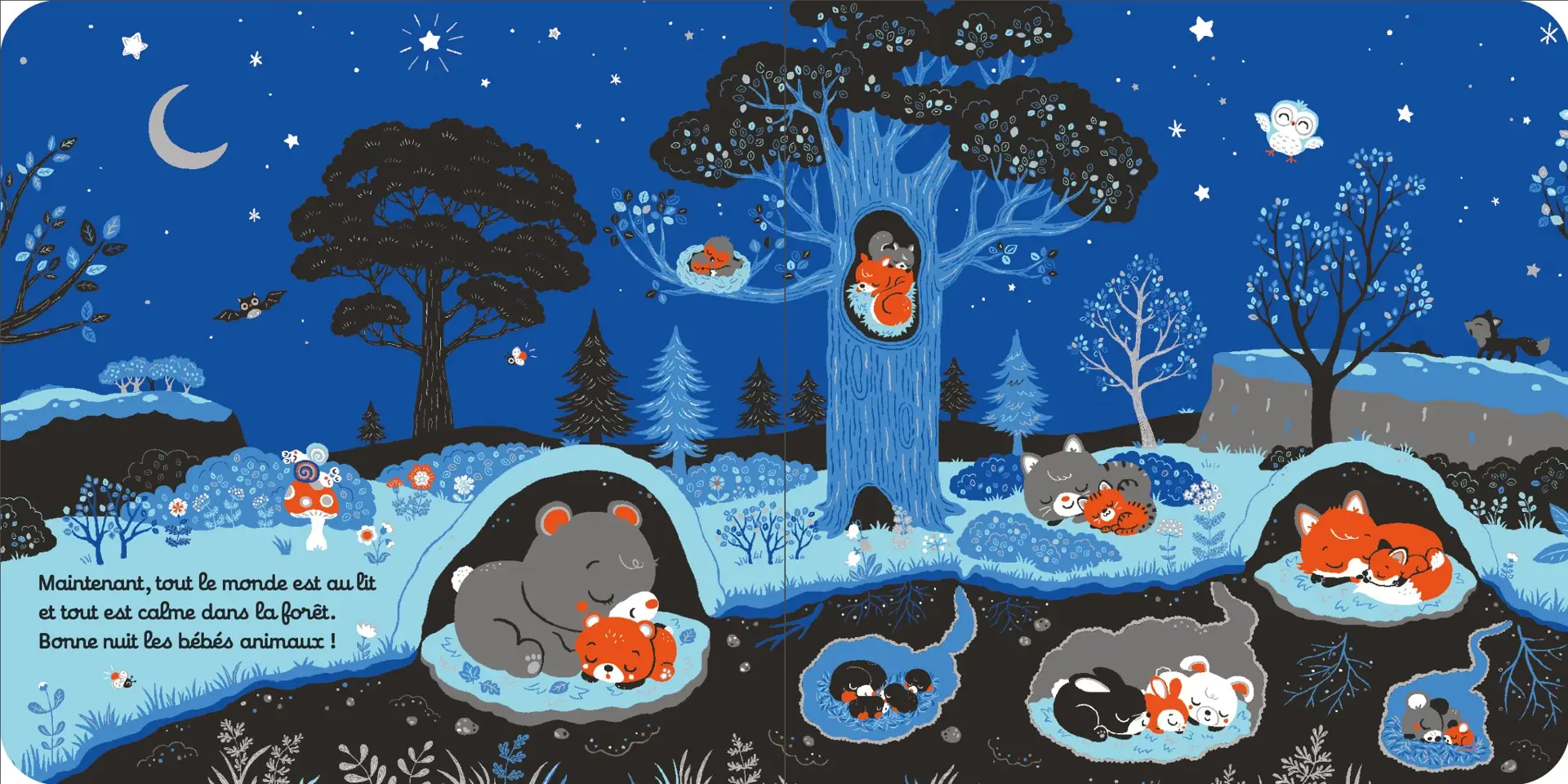 Bonsoir les bébés animaux - une histoire tendre pour bébé dès 6 mois  - Livre d'éveil - 9782095044510 - Pages intérieures 02
