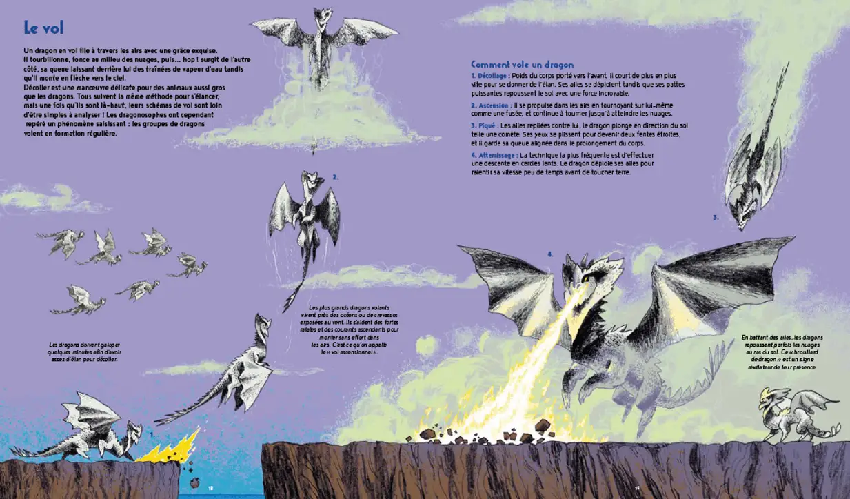 La vie secrète des dragons - Guide complet des espèces de dragons - Pour les passionnés de créatures fantastiques dès 7 ans - Livre documentaire - 9782095053222 - Pages intérieures 02