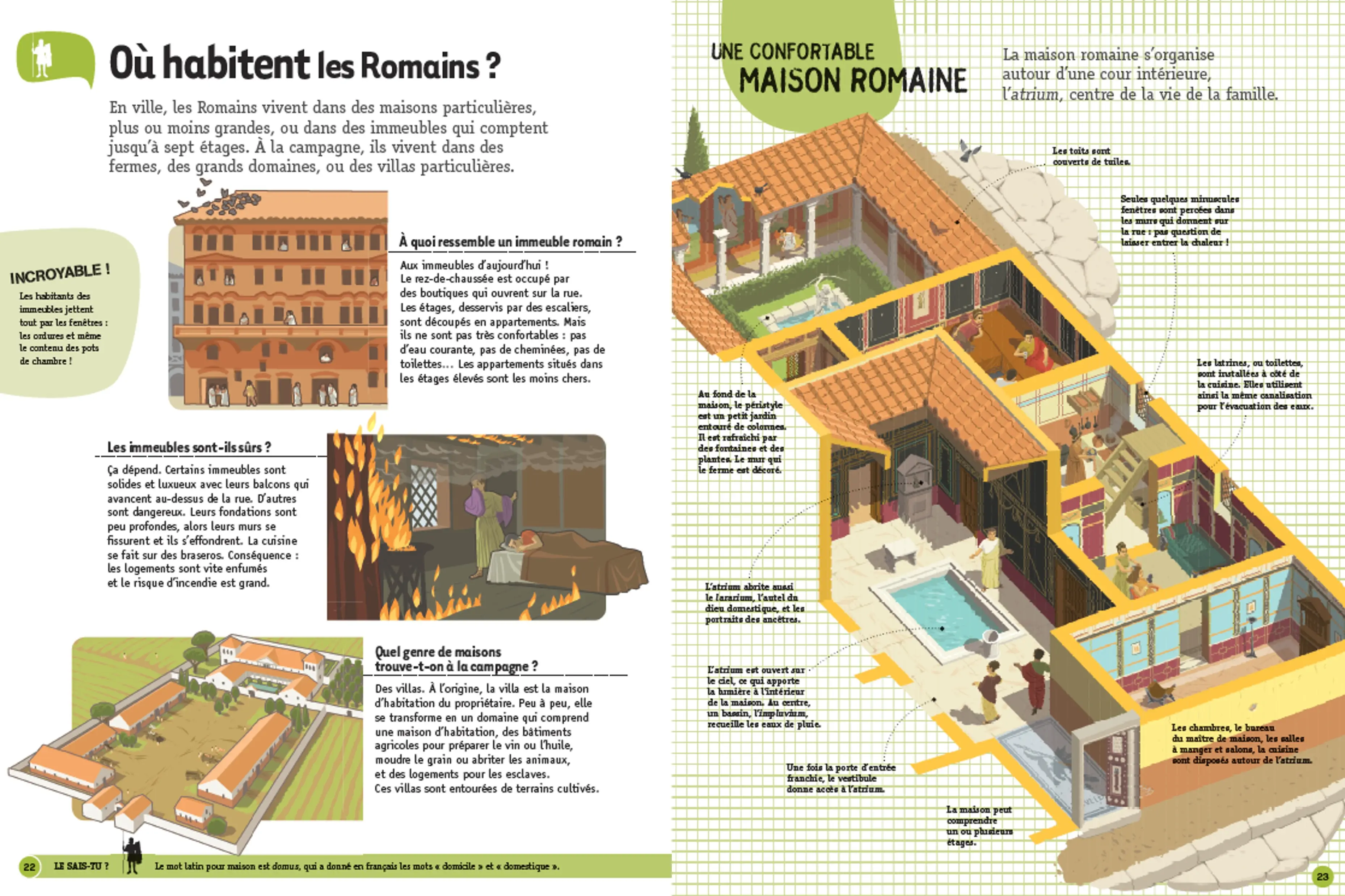 Questions/Réponses : Les romains - 60 questions captivantes pour tout savoir de la Rome antique ! - dès 7 ans - Livre documentaire - 9782095061524 - Pages intérieures 02