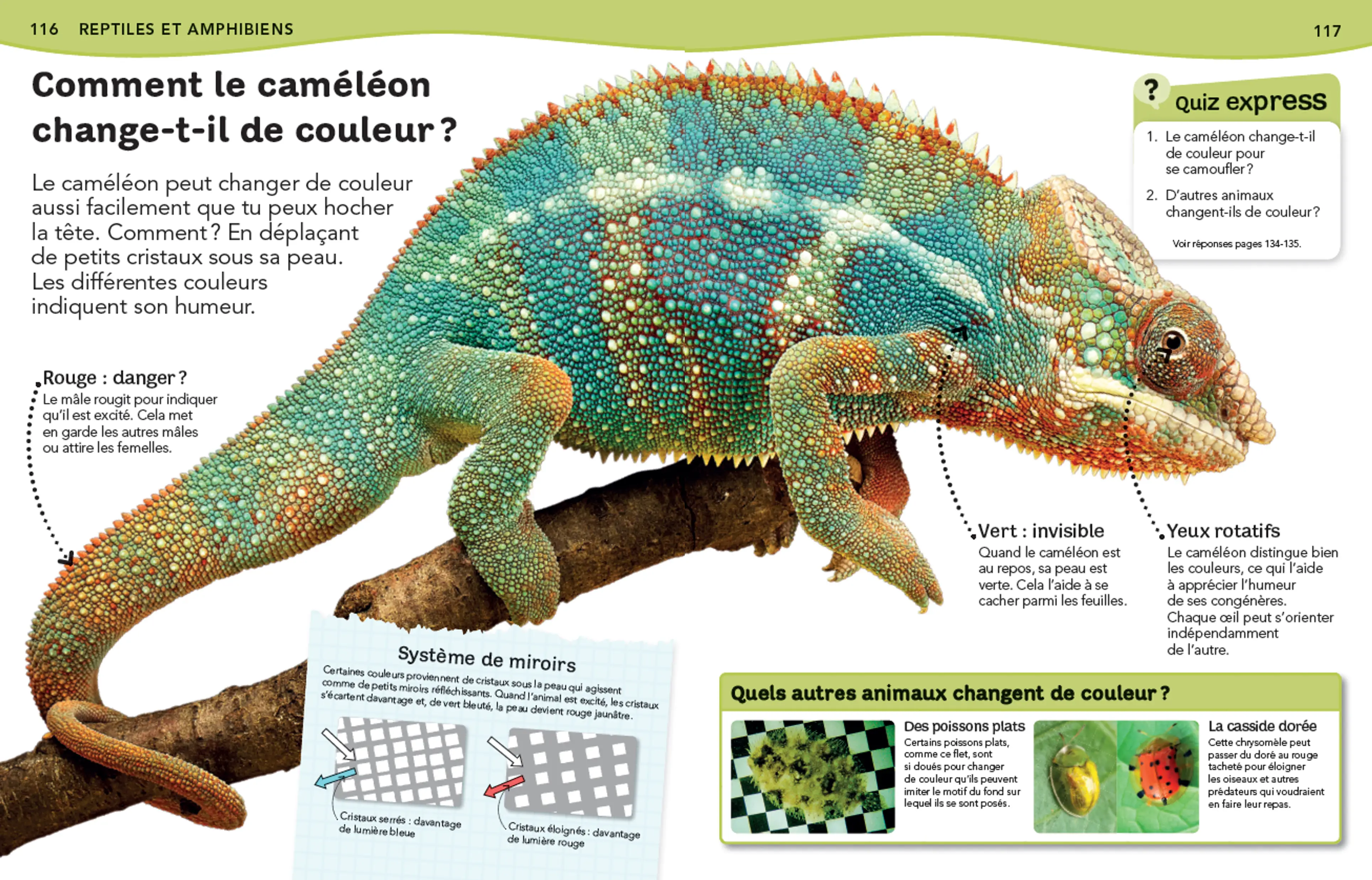 L'Encyclopédie des animaux - Questions/Réponses - Livre documentaire pour enfants dès 7 ans - Livre documentaire - 9782092566701 - Pages intérieures 03