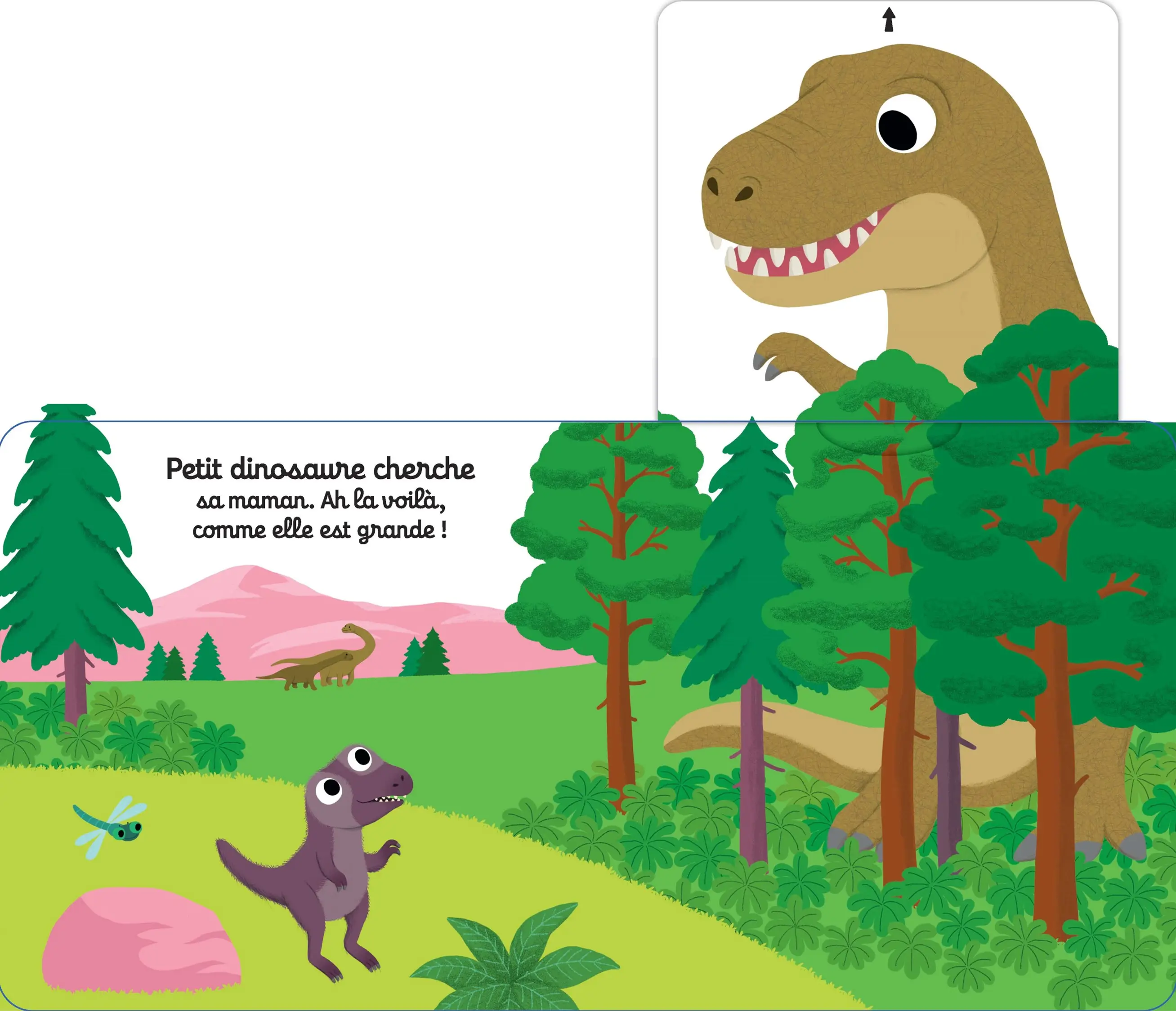 Tu es fort petit dinosaure ! - Découvre la vie de bébé dino avec des animations solides - dès 1 an - Livre documentaire - 9782095045524 - Pages intérieures 03