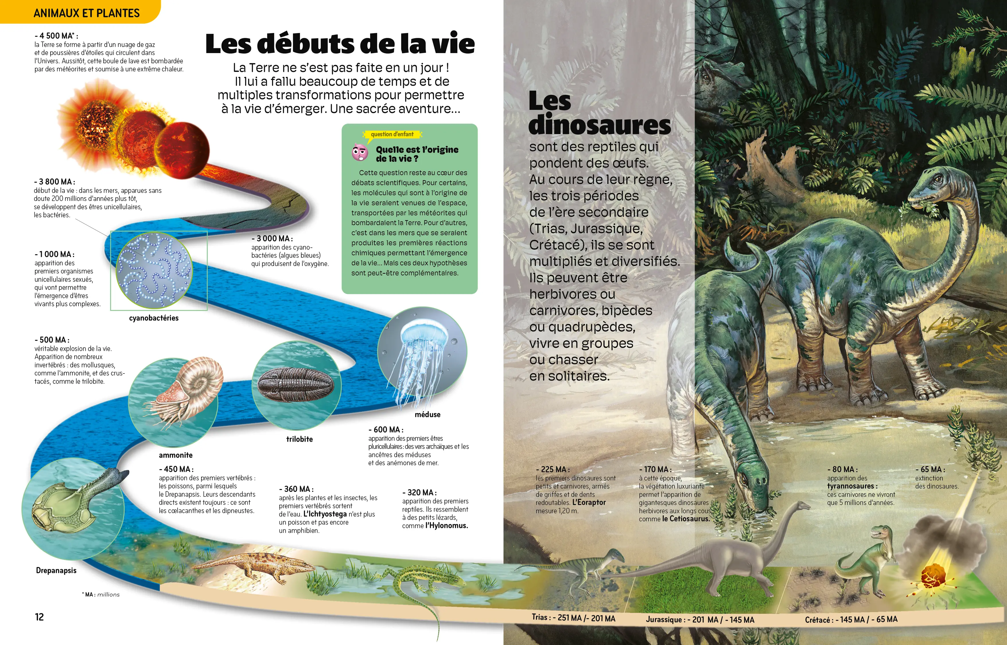 La grande encyclopédie Nathan - Livre documentaire complet pour enfants dès 9 ans - Livre documentaire - 9782095047337 - Pages intérieures 03