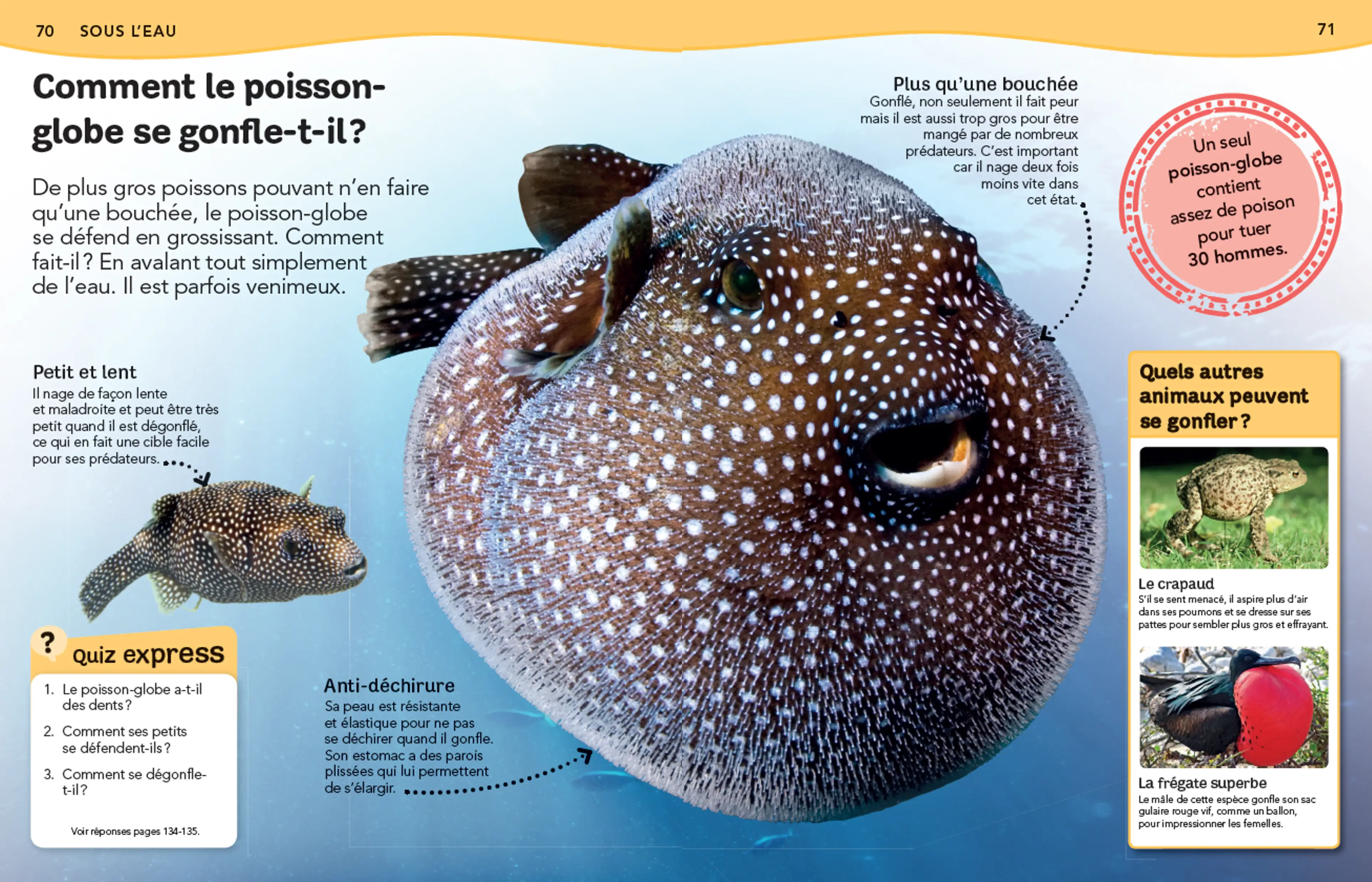 L'Encyclopédie des animaux - Questions/Réponses - Livre documentaire pour enfants dès 7 ans - Livre documentaire - 9782092566701 - Pages intérieures 04